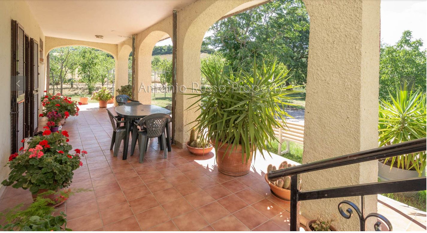 /api/file/public/265167/29167