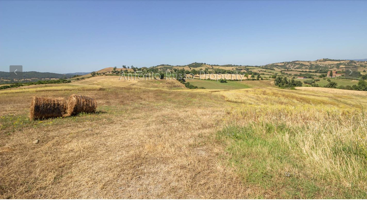 /api/file/public/265167/29168