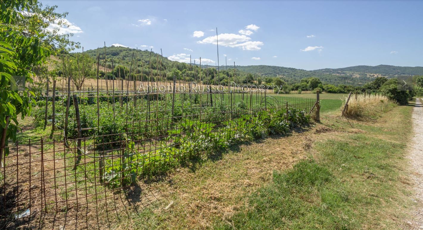 /api/file/public/265167/29170