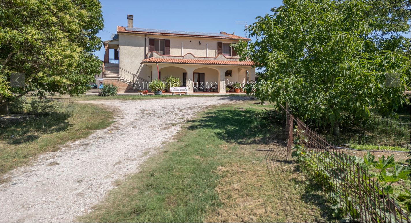 /api/file/public/265167/29171