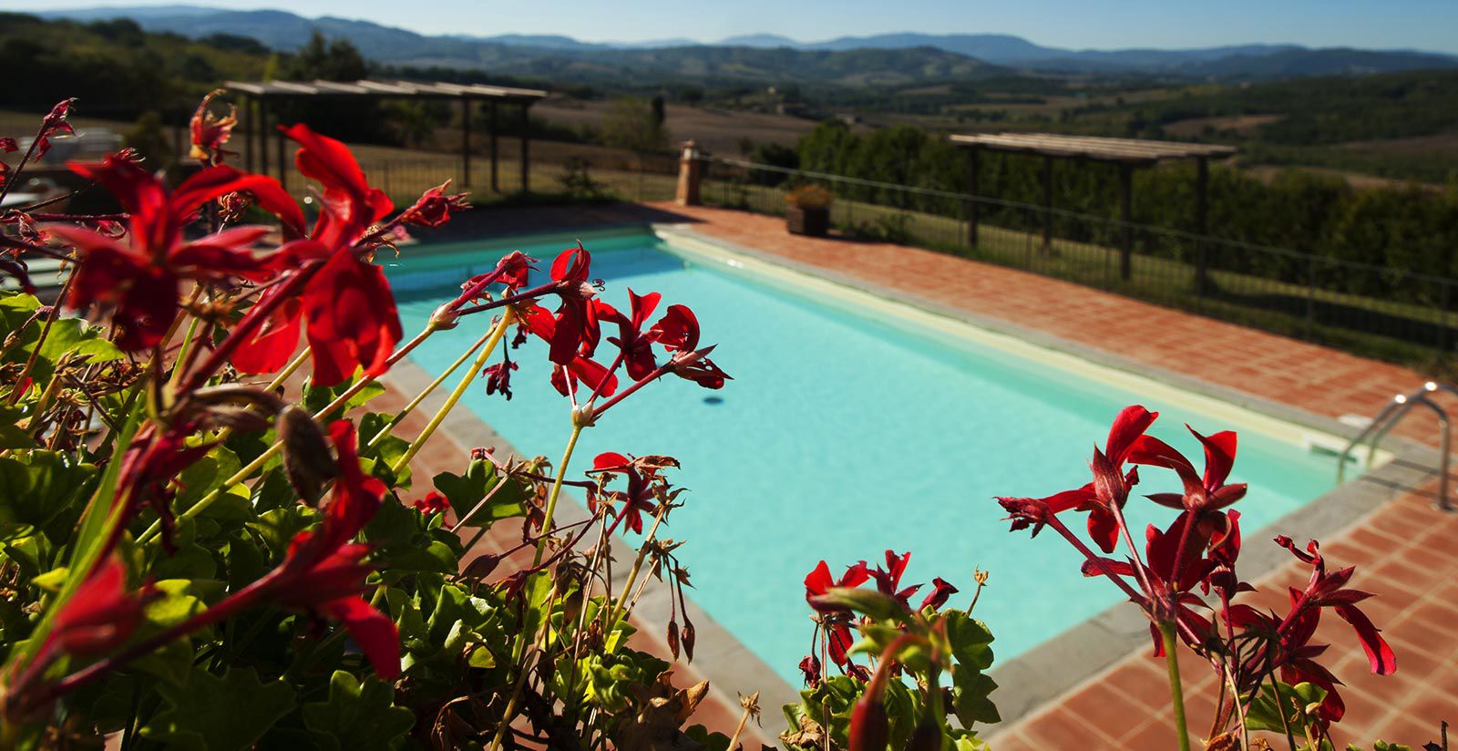 /api/file/public/265169/30602