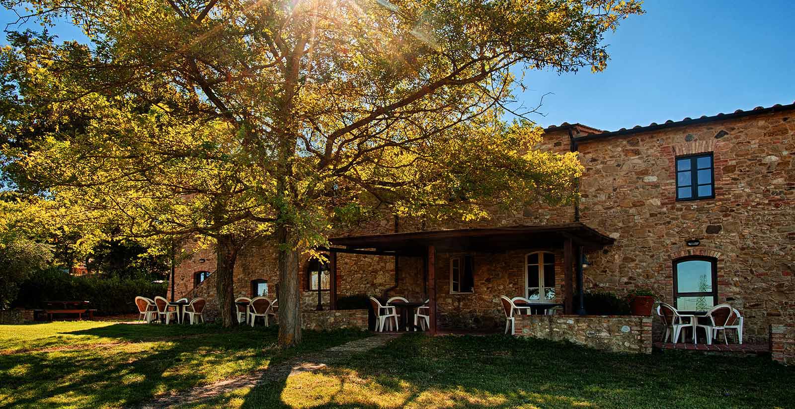 /api/file/public/265169/30614