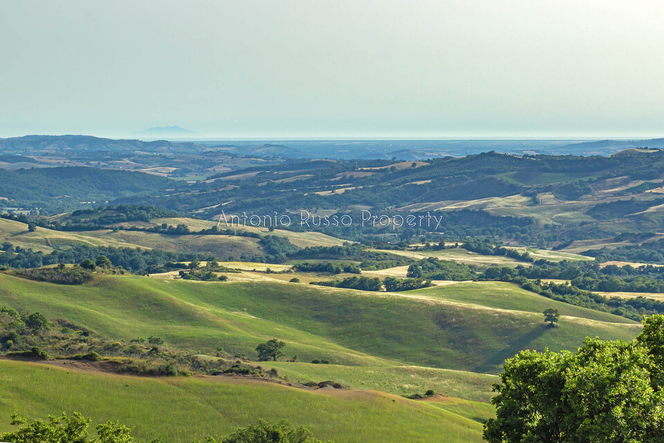 /api/file/public/265170/29214