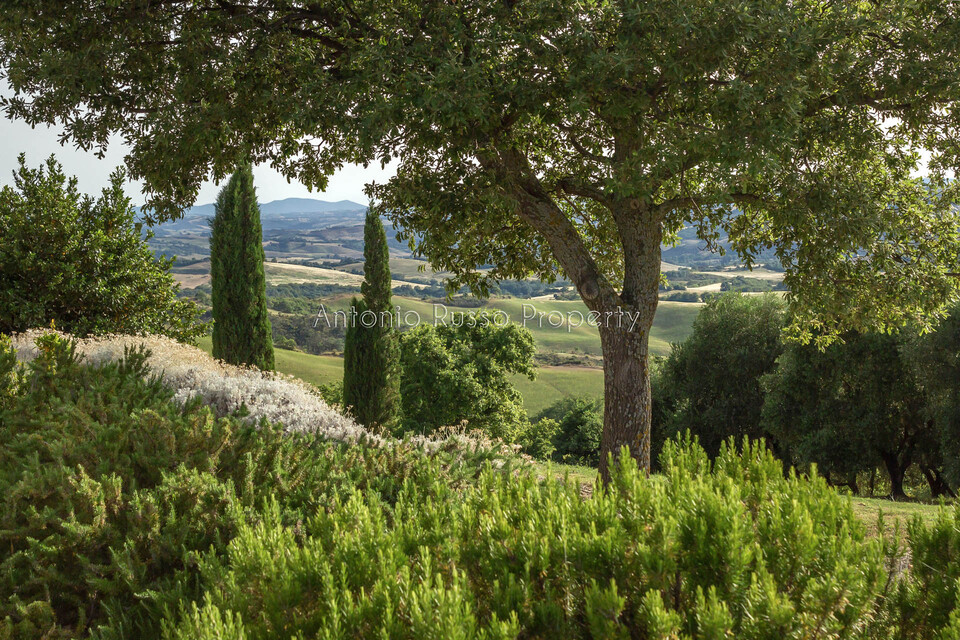 /api/file/public/265170/29229