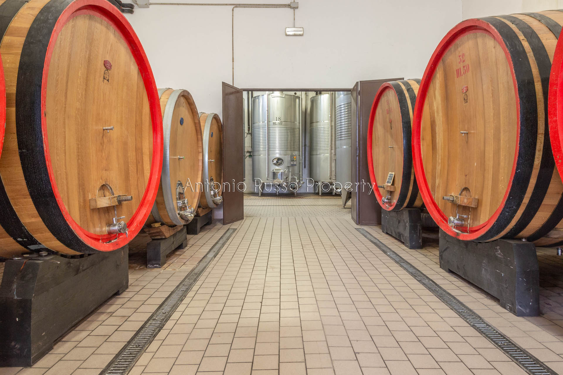 /api/file/public/265171/29240