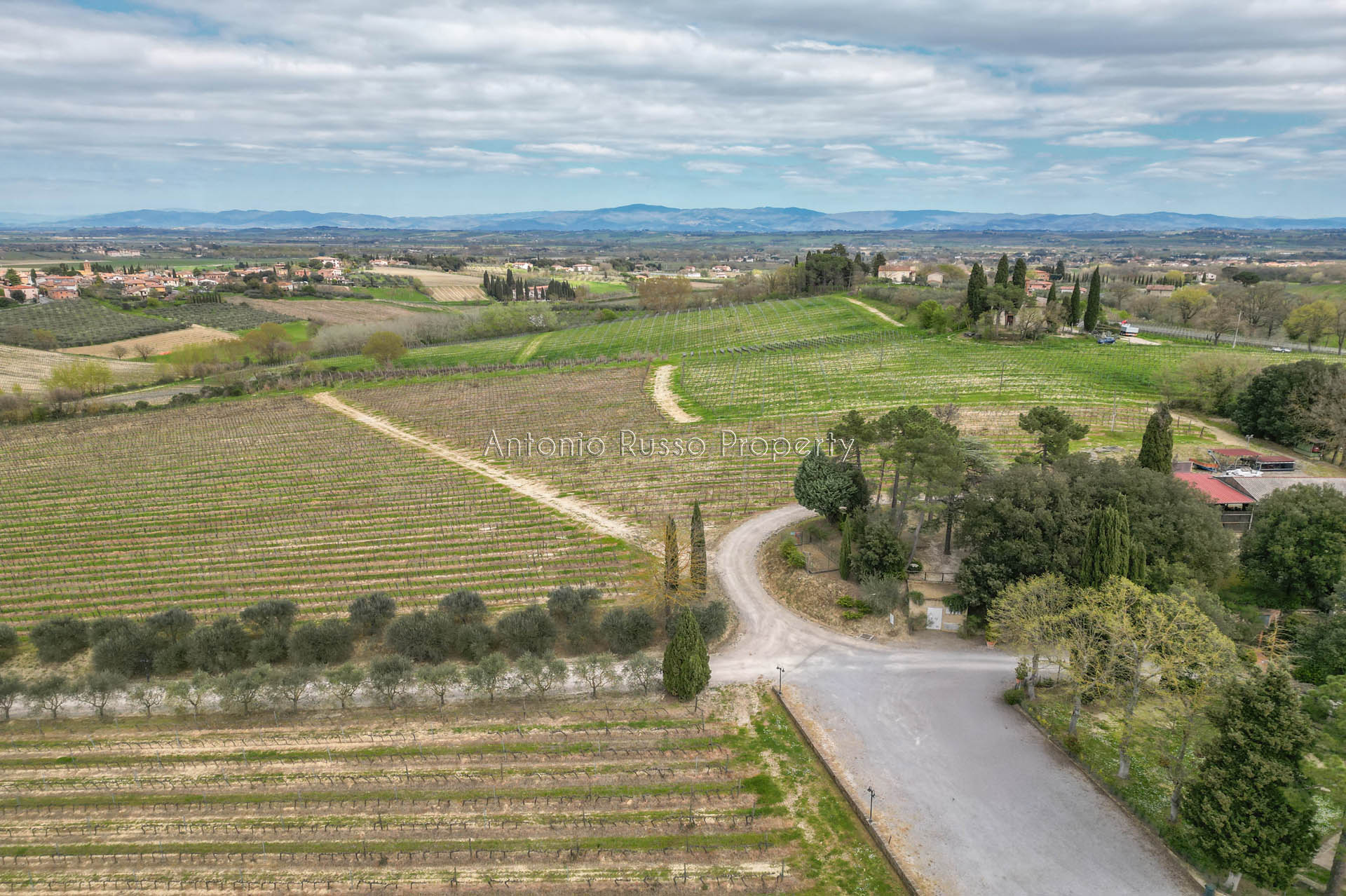 /api/file/public/265171/29247