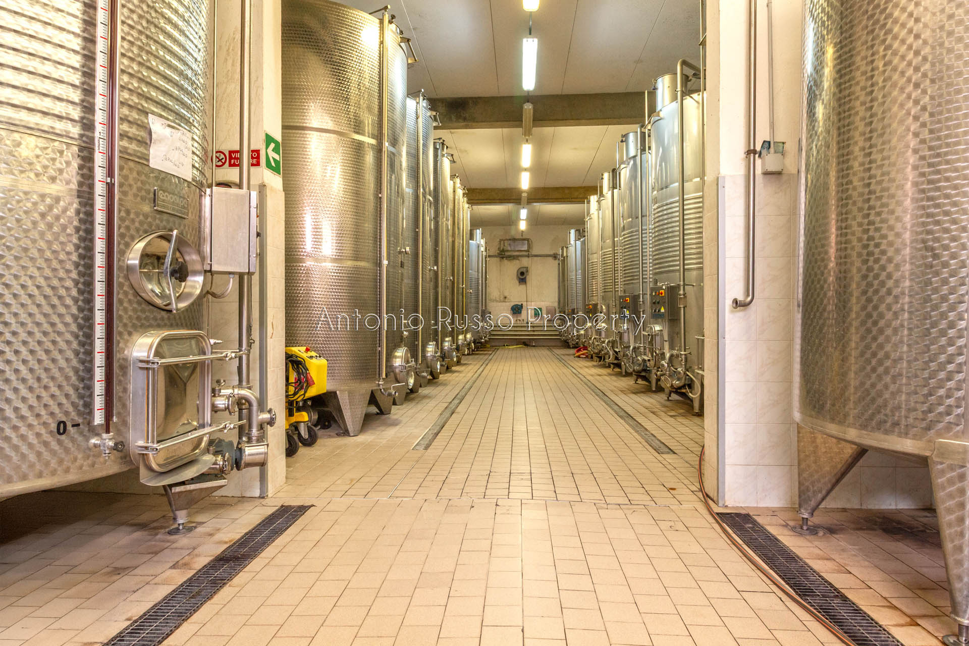 /api/file/public/265171/29248