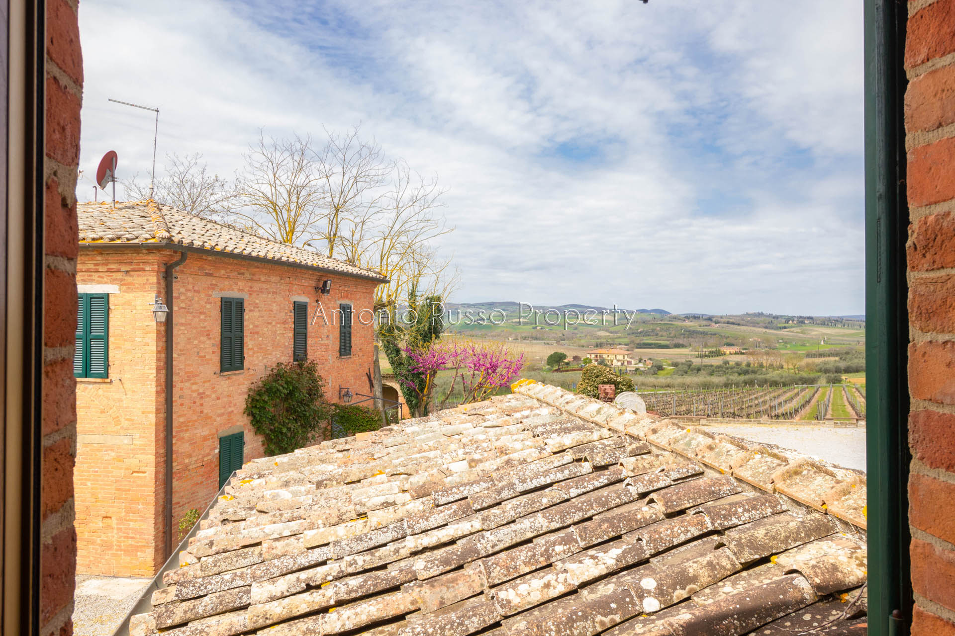 /api/file/public/265171/29250