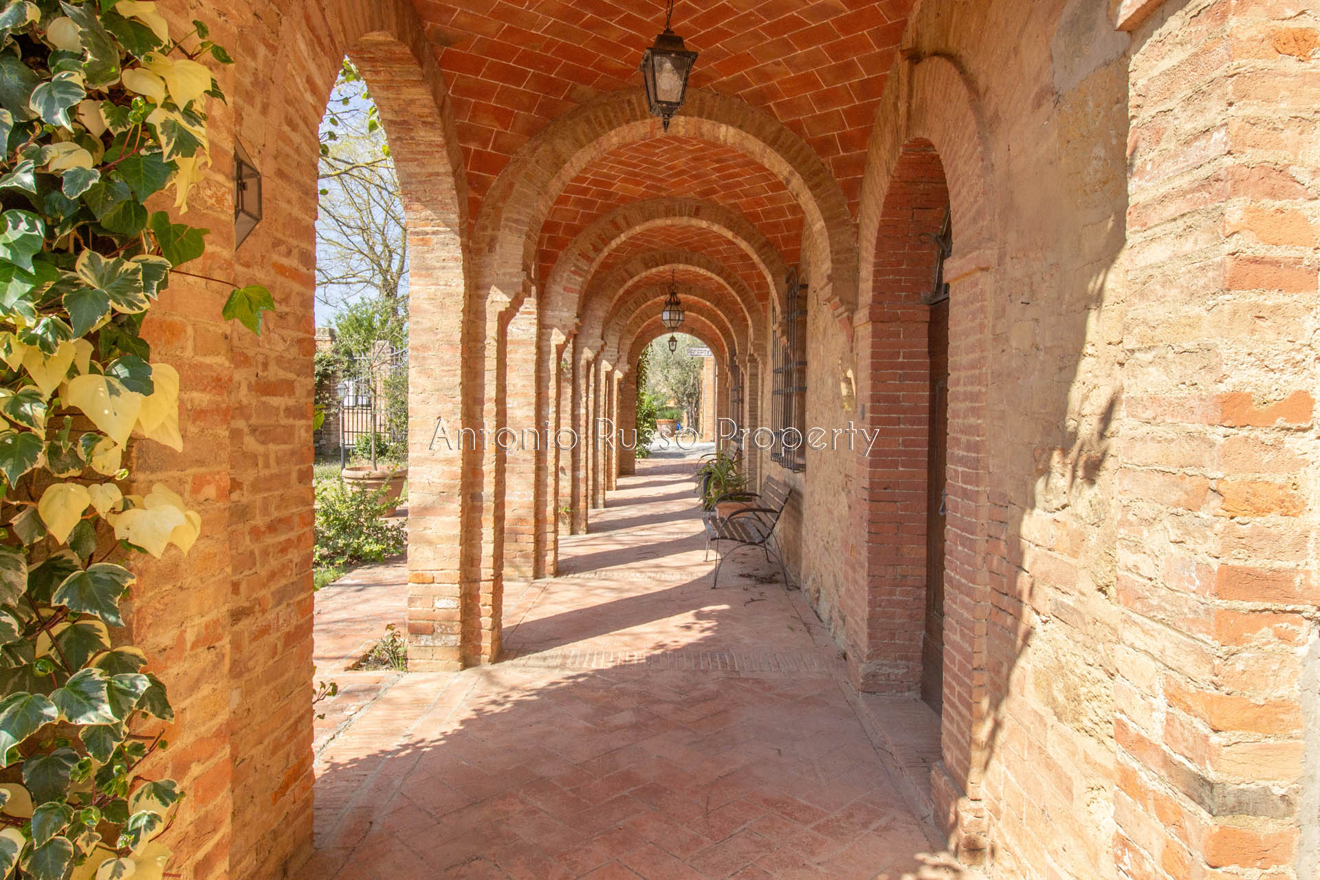 /api/file/public/265171/29251