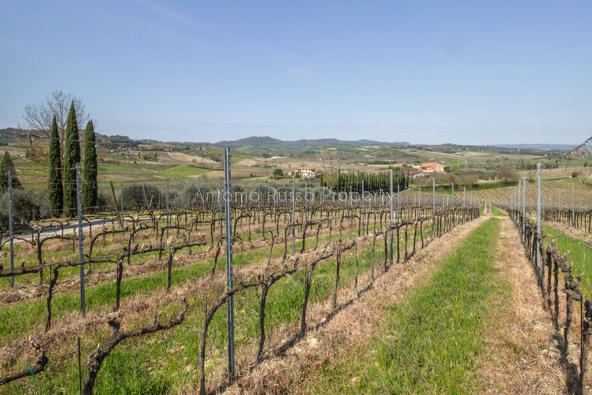 /api/file/public/265171/29255