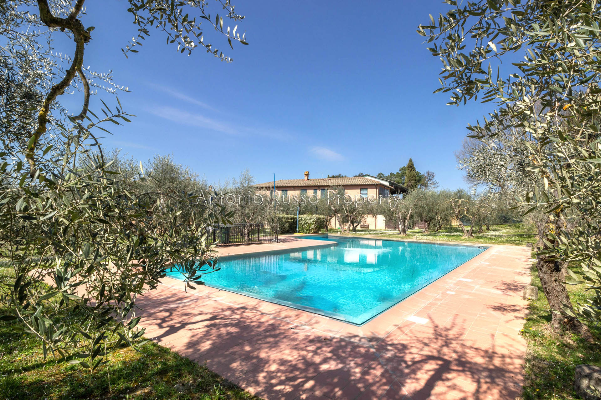 /api/file/public/265171/29265