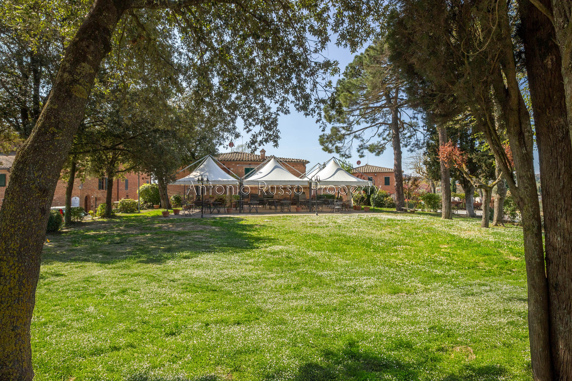 /api/file/public/265171/29267