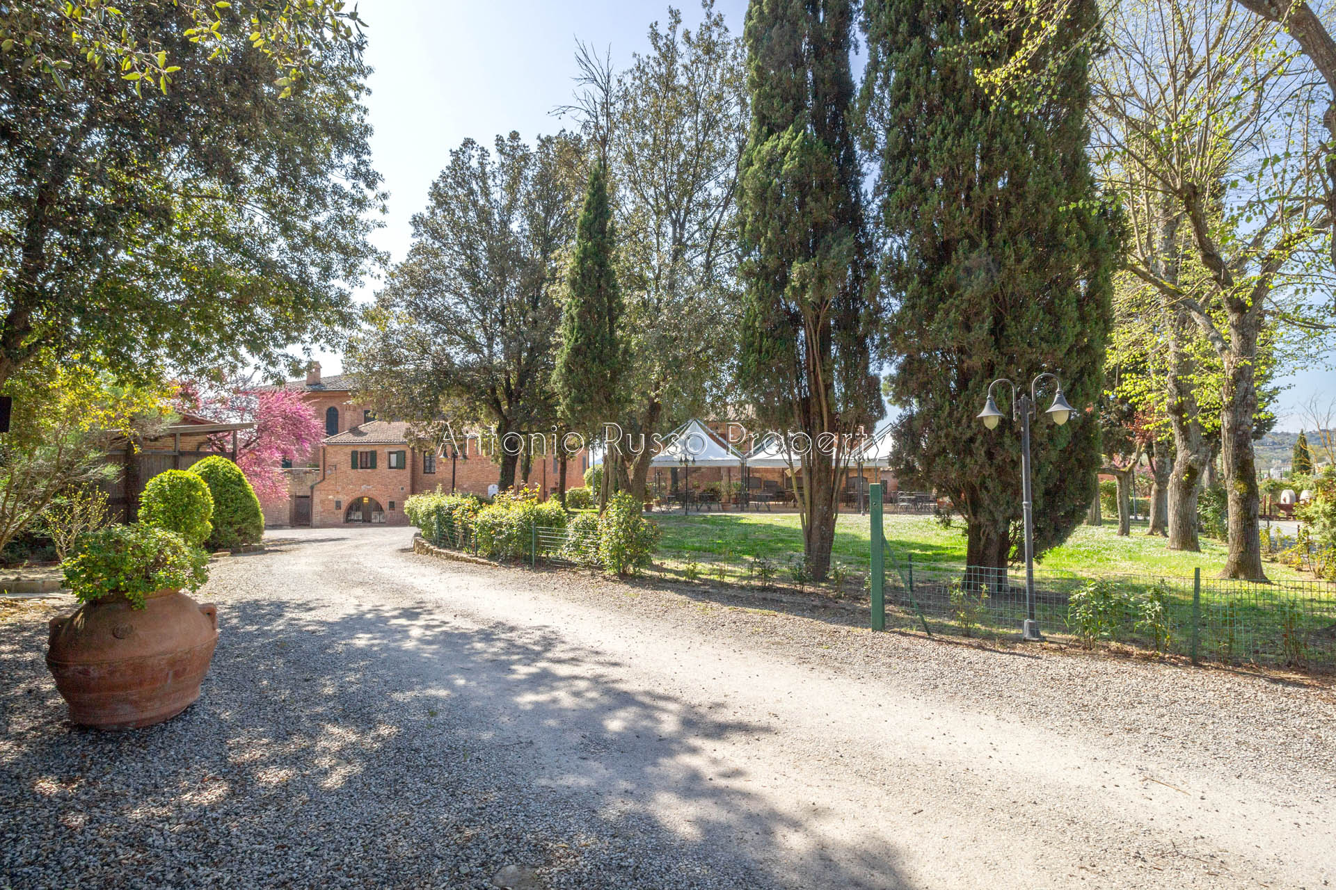 /api/file/public/265171/29268