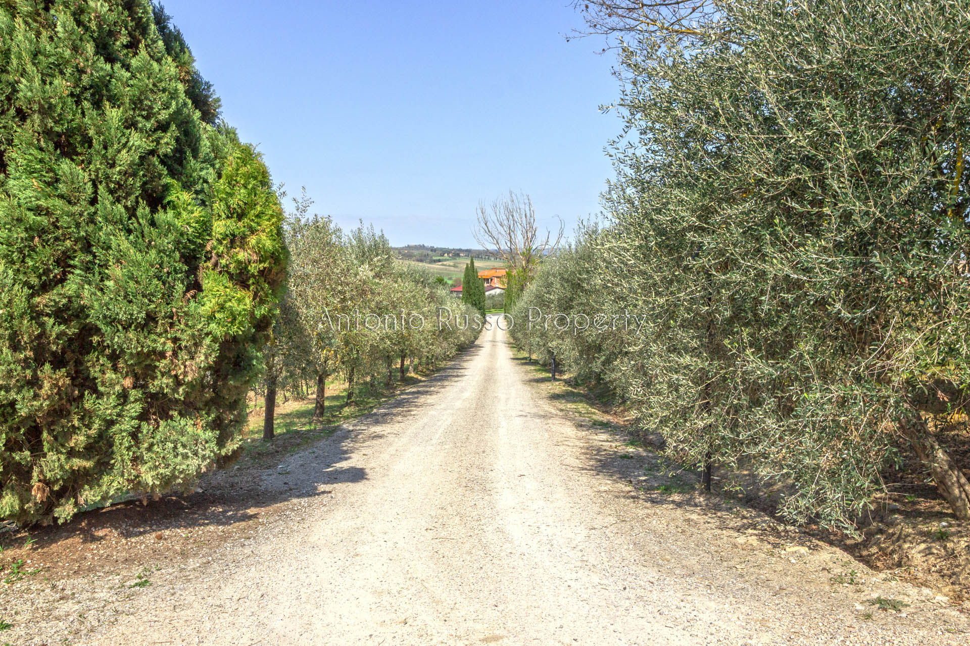 /api/file/public/265171/29269