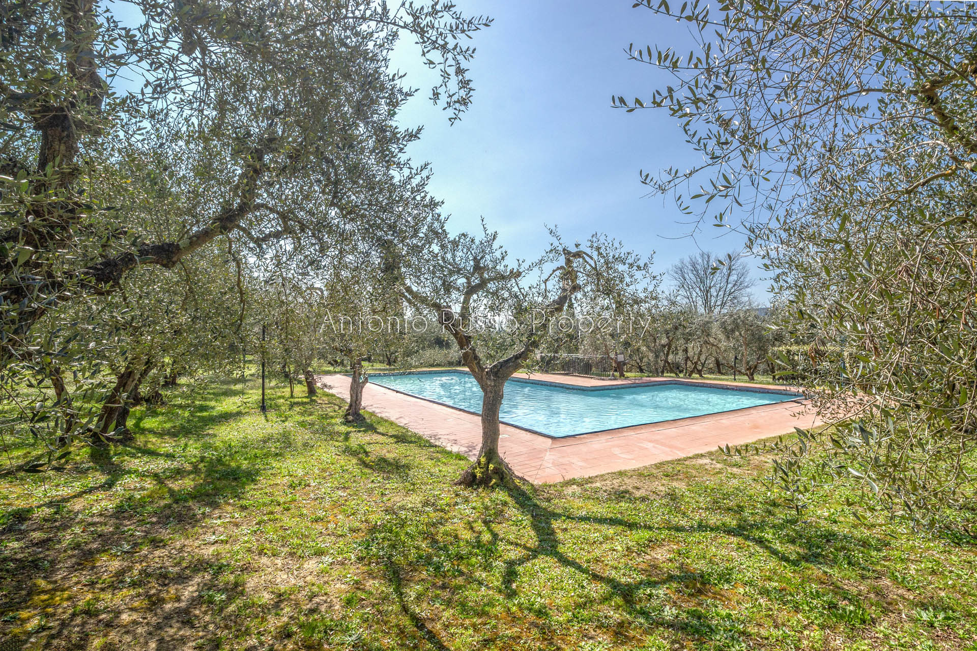 /api/file/public/265171/29271