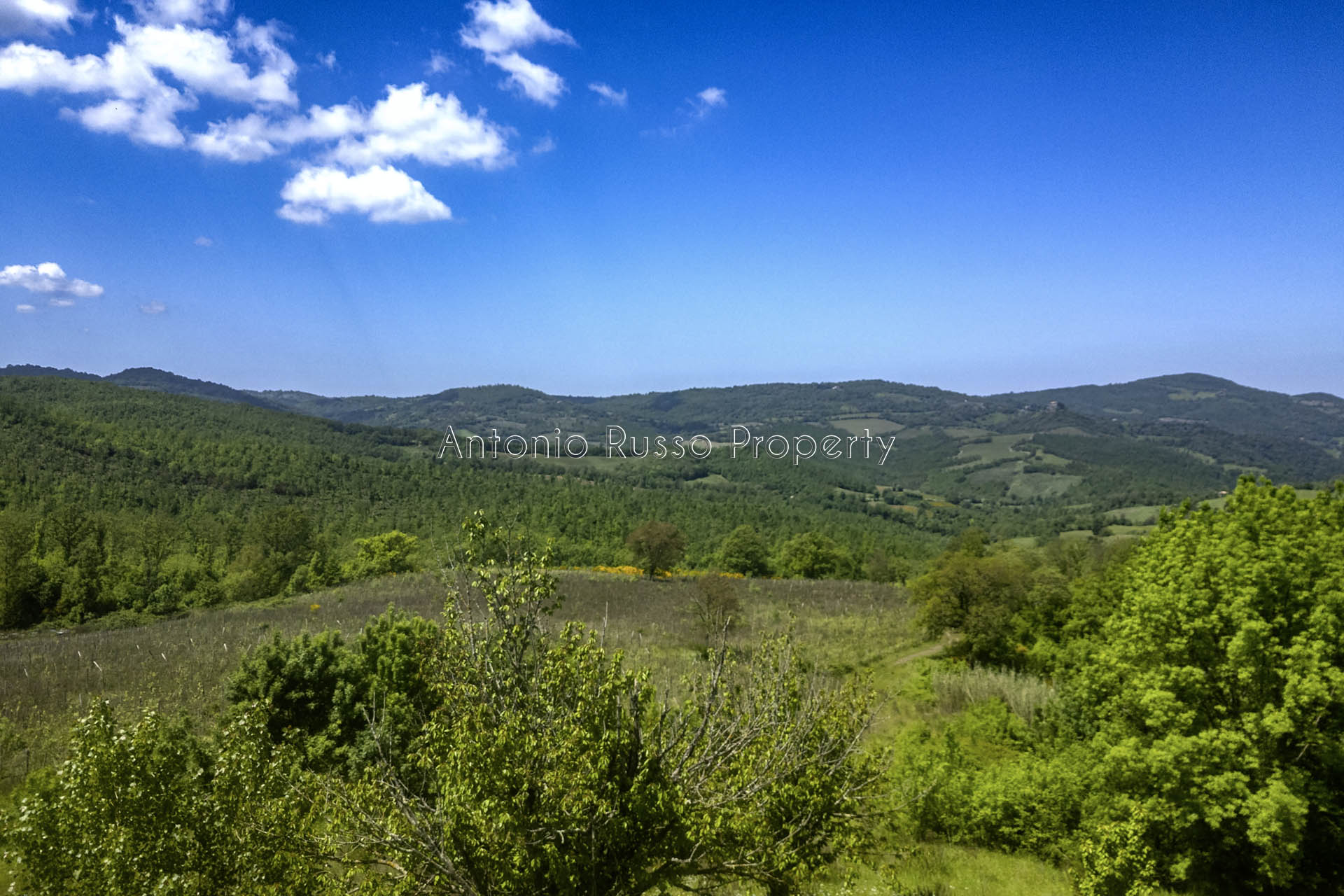 /api/file/public/265173/29305