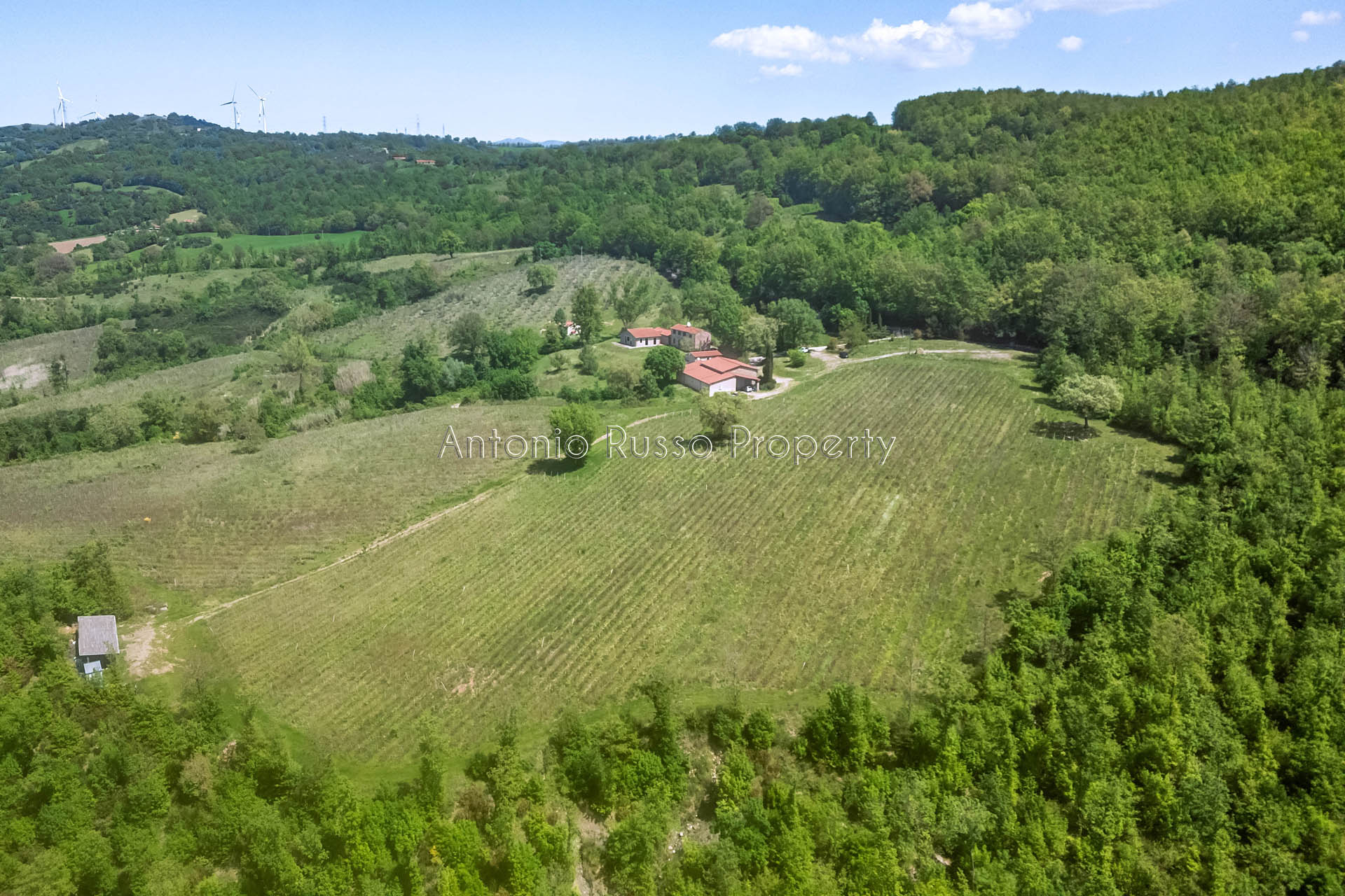 /api/file/public/265173/29310