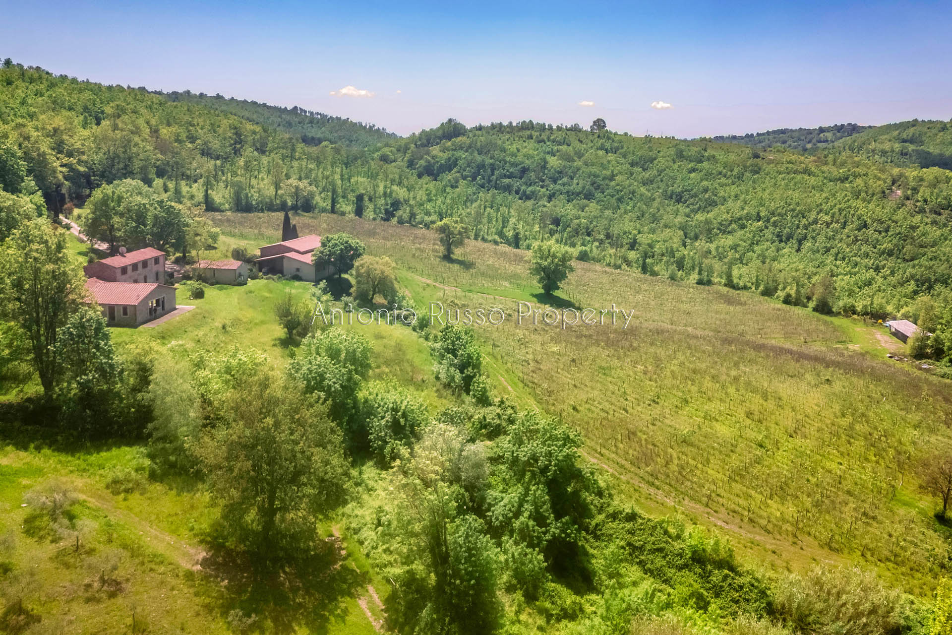 /api/file/public/265173/29313