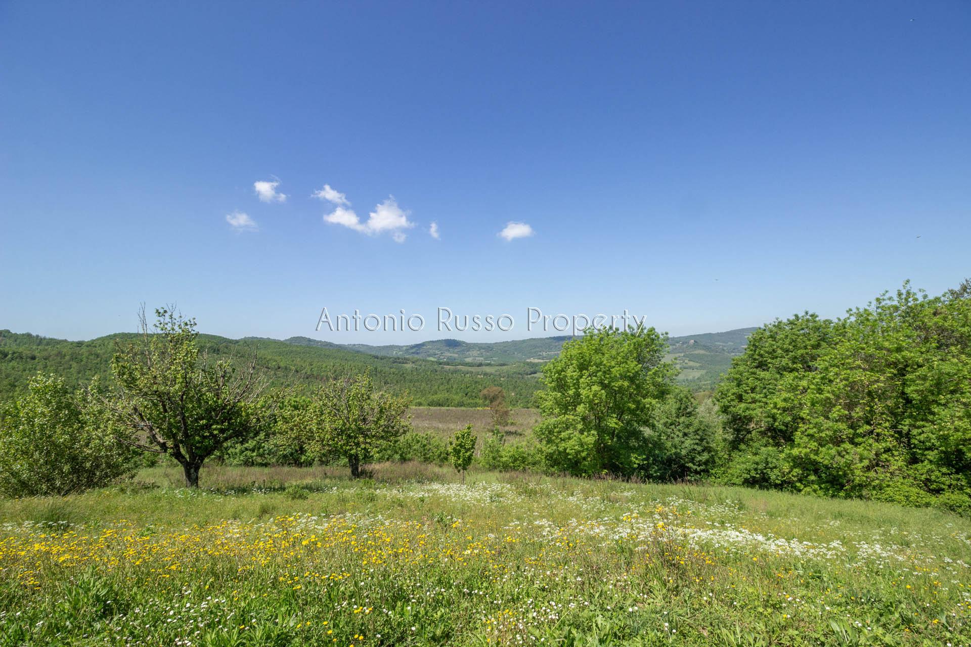 /api/file/public/265173/29314