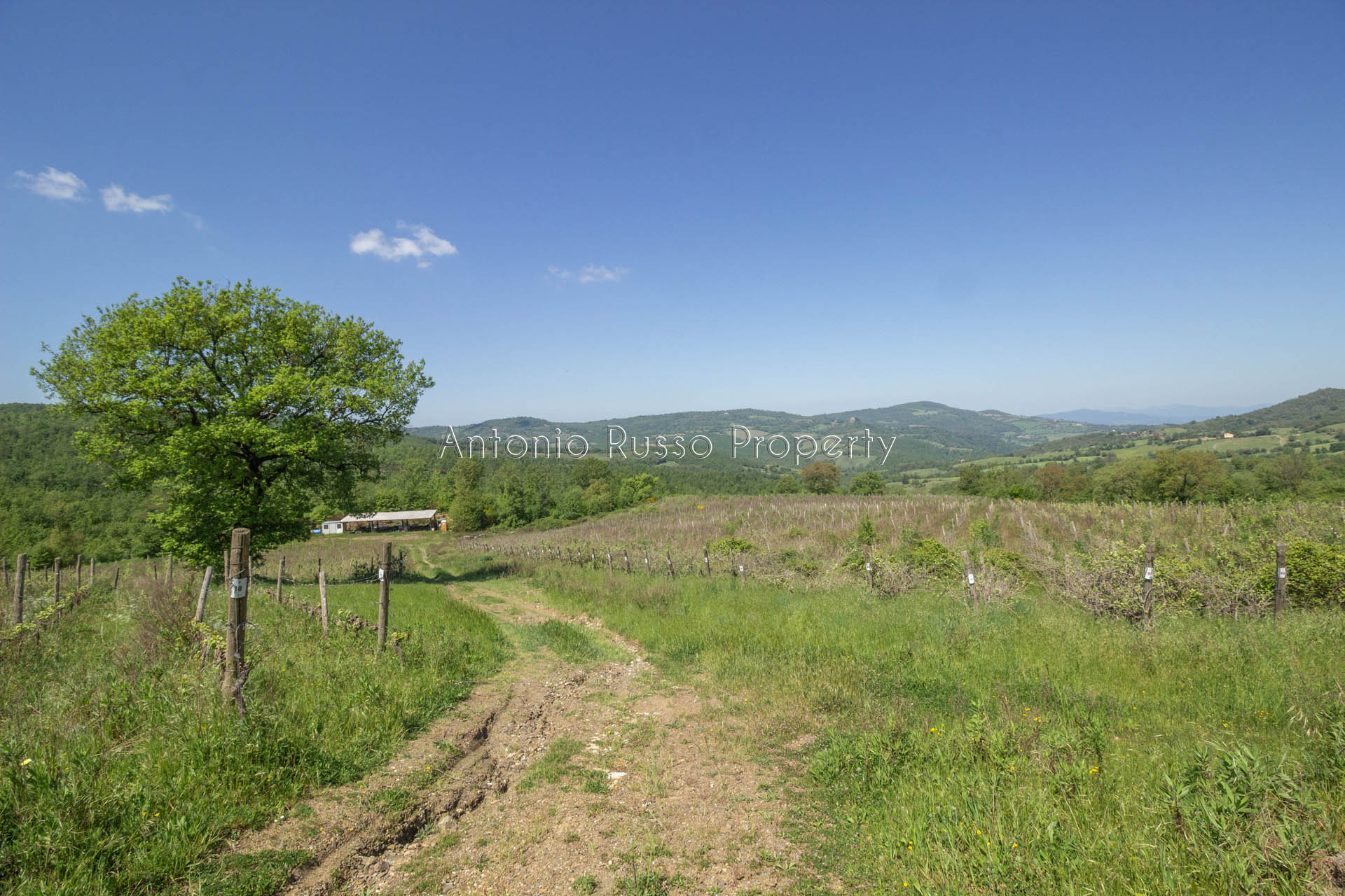 /api/file/public/265173/29315