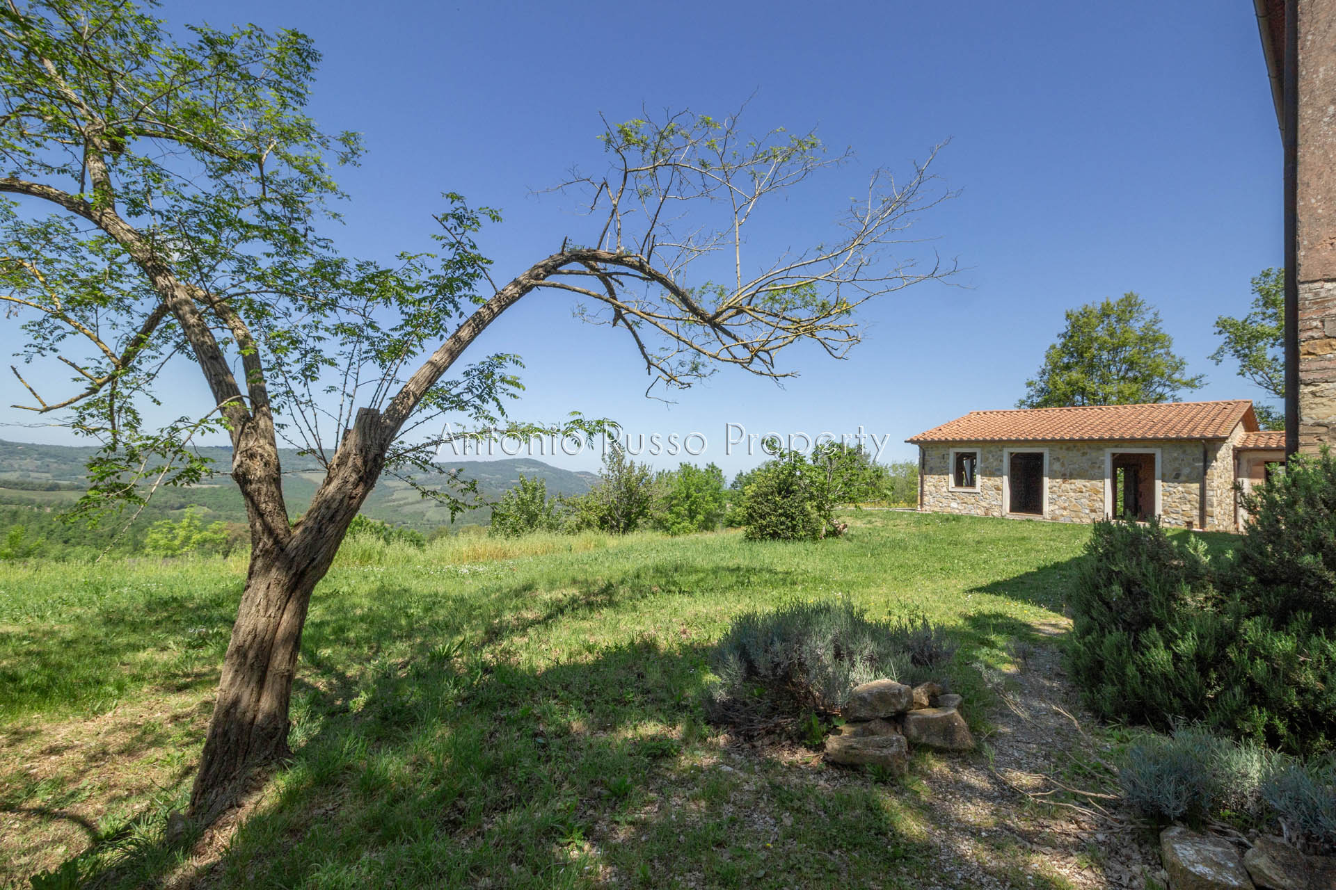 /api/file/public/265173/29319