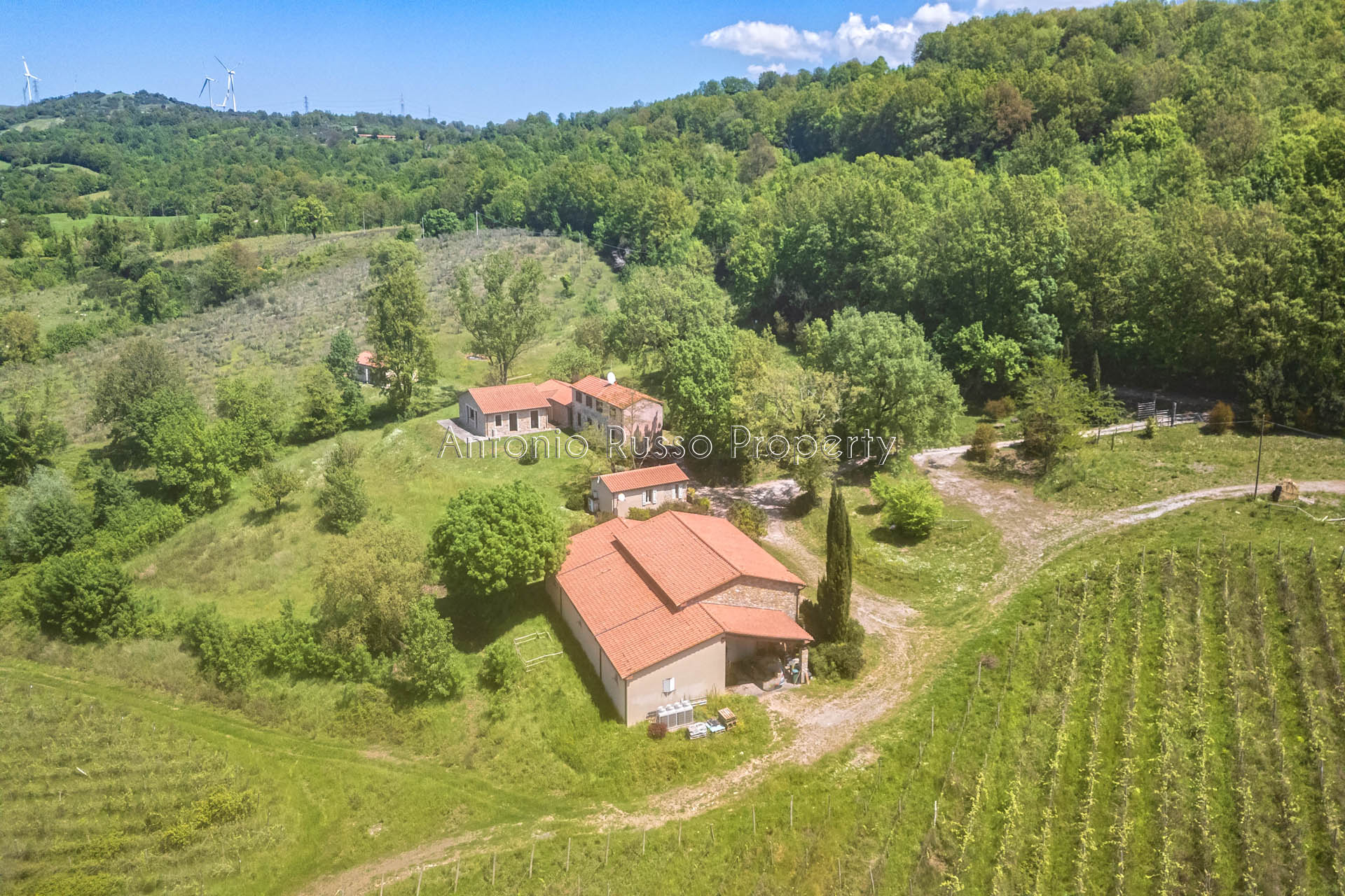 /api/file/public/265173/29320