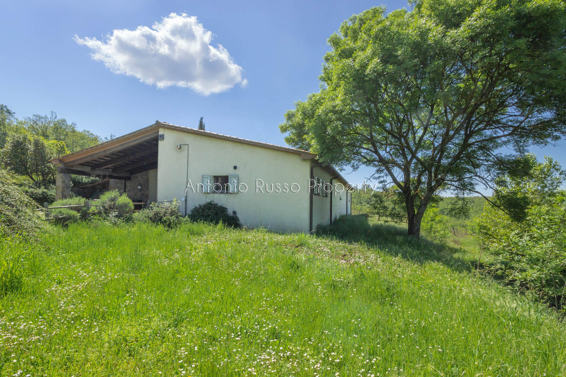 /api/file/public/265173/29324