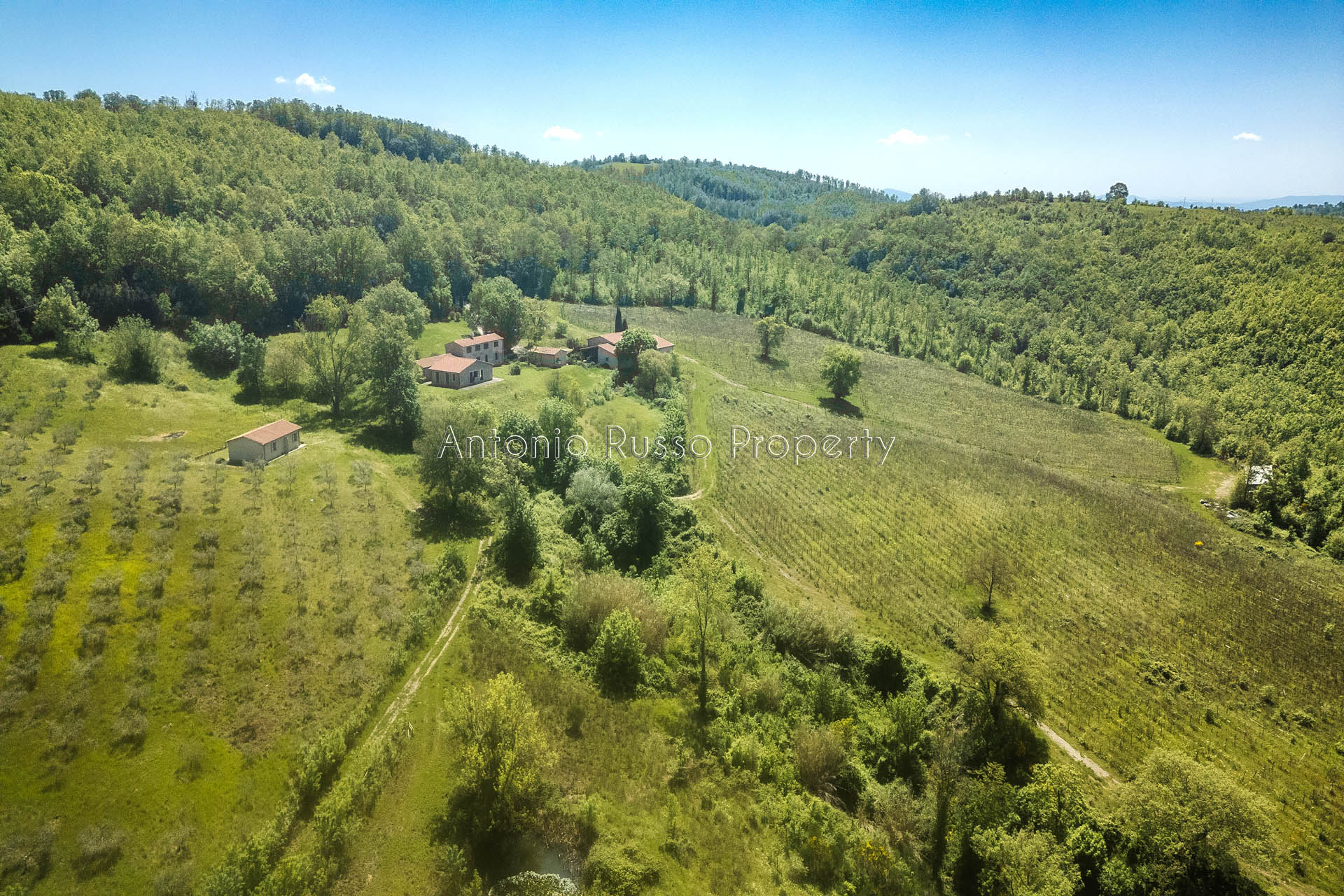 /api/file/public/265173/29325