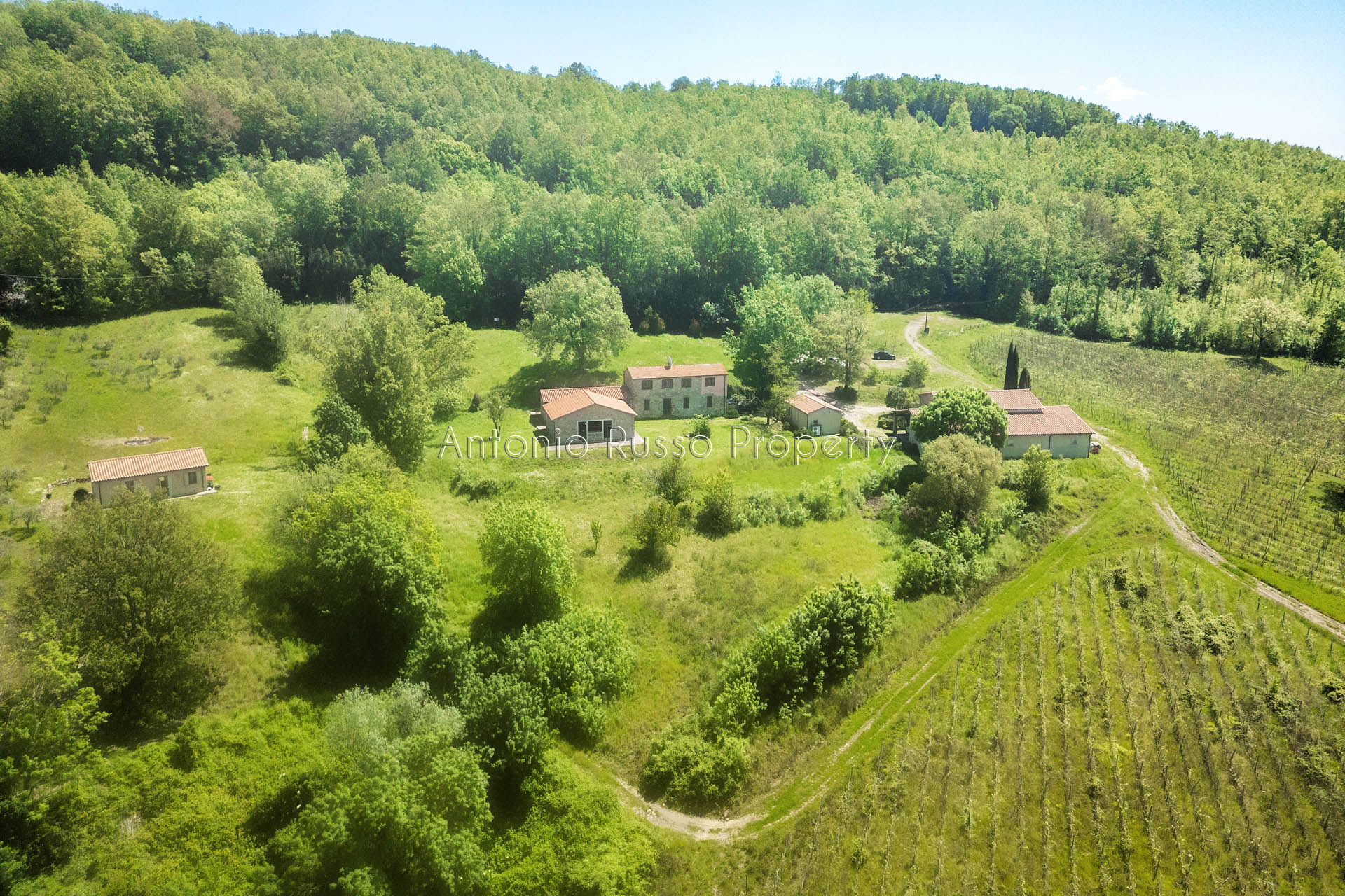 /api/file/public/265173/29326