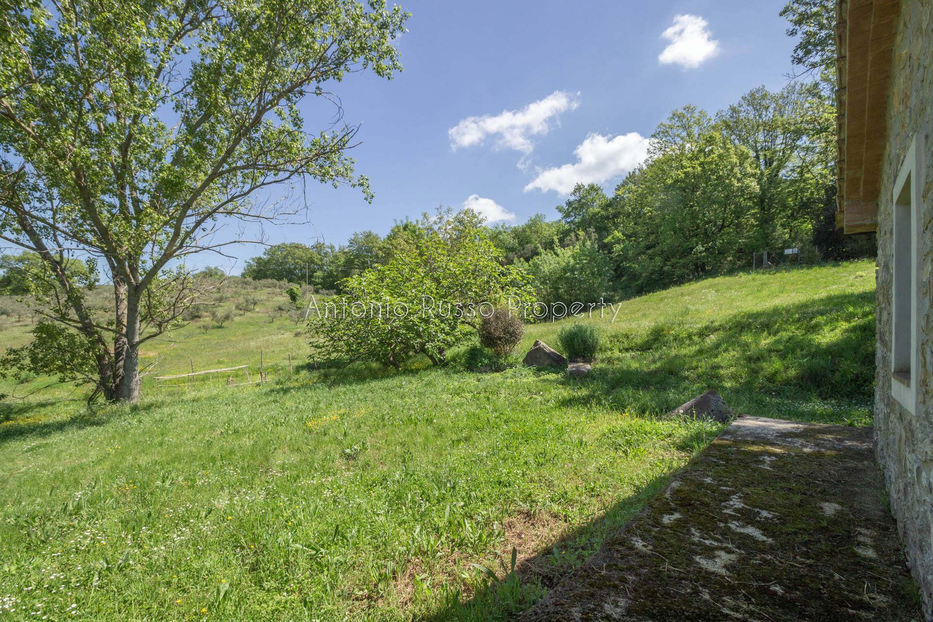 /api/file/public/265173/29327