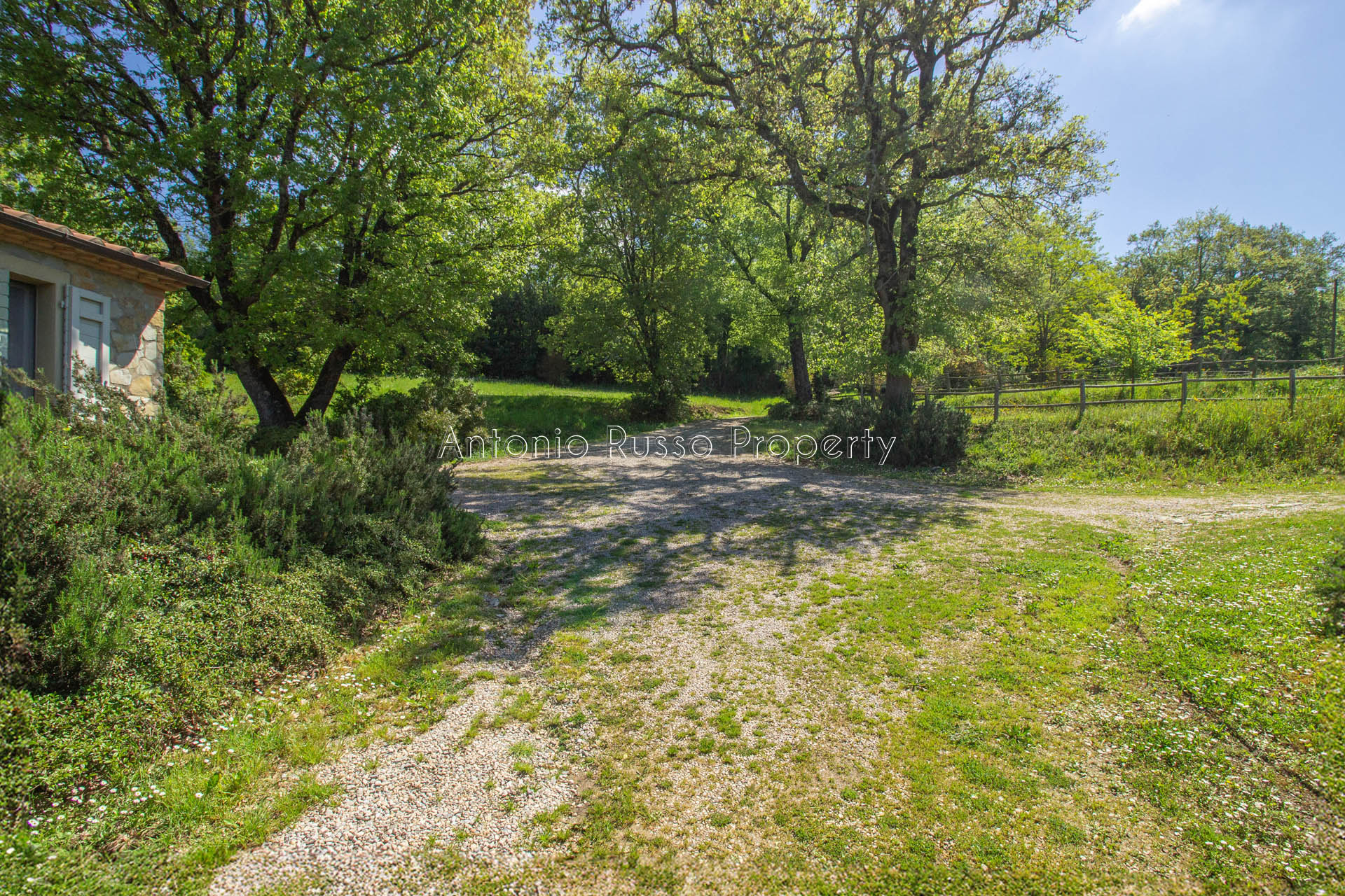 /api/file/public/265173/29330