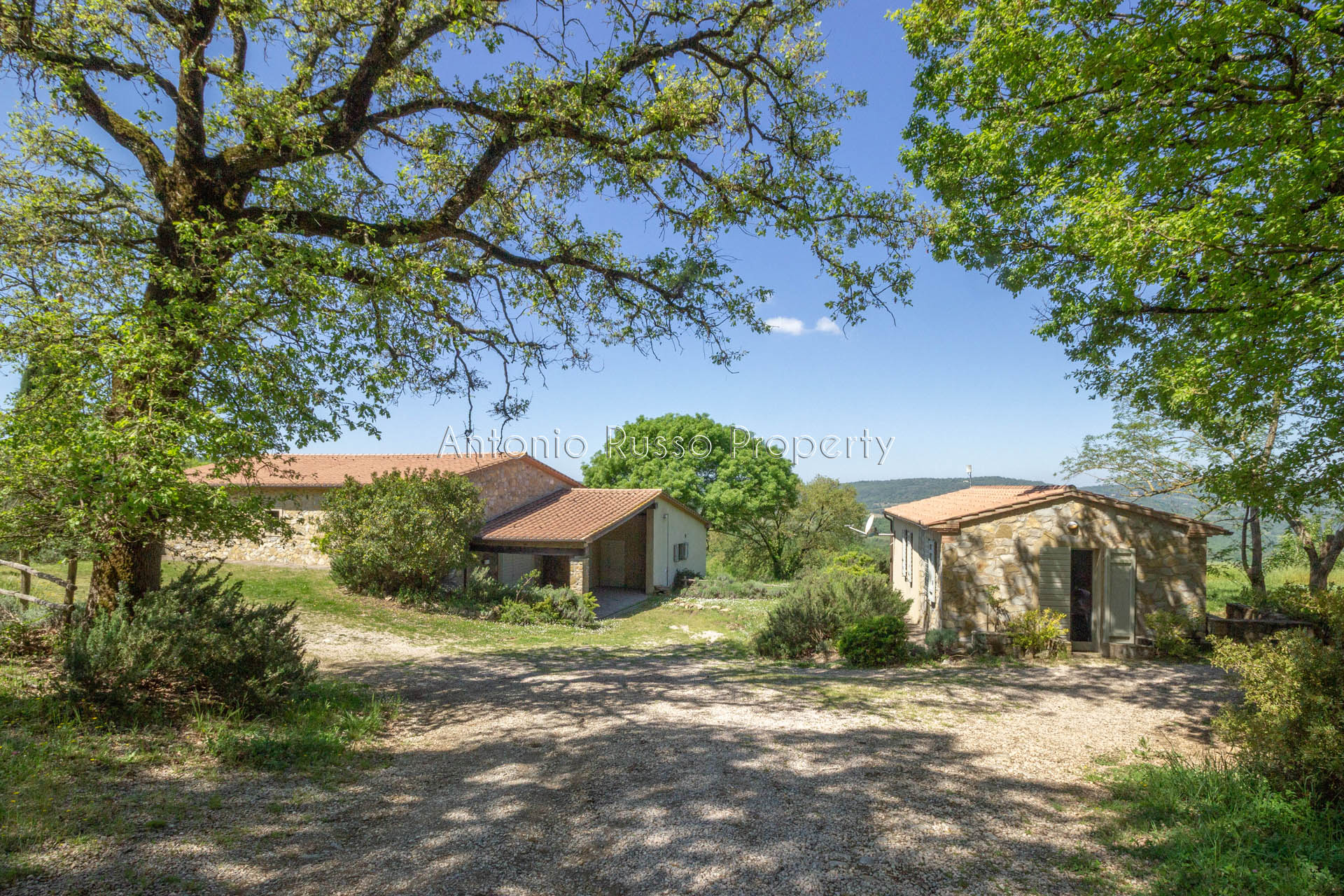 /api/file/public/265173/29331