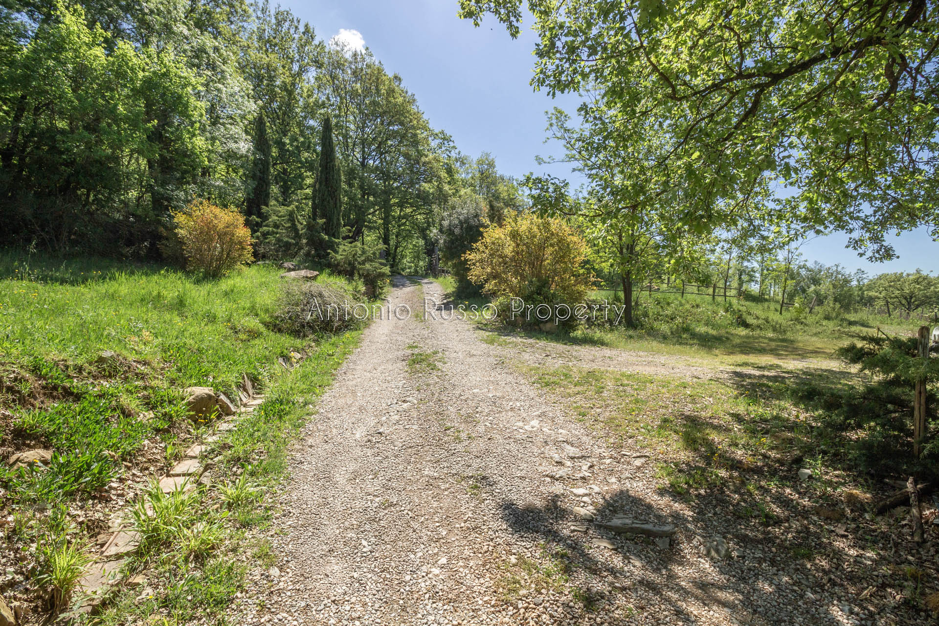 /api/file/public/265173/29332