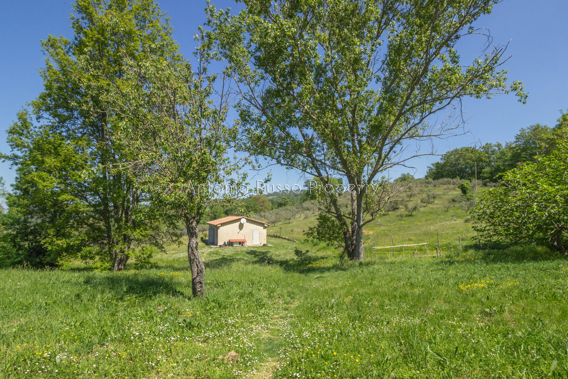 /api/file/public/265173/29333