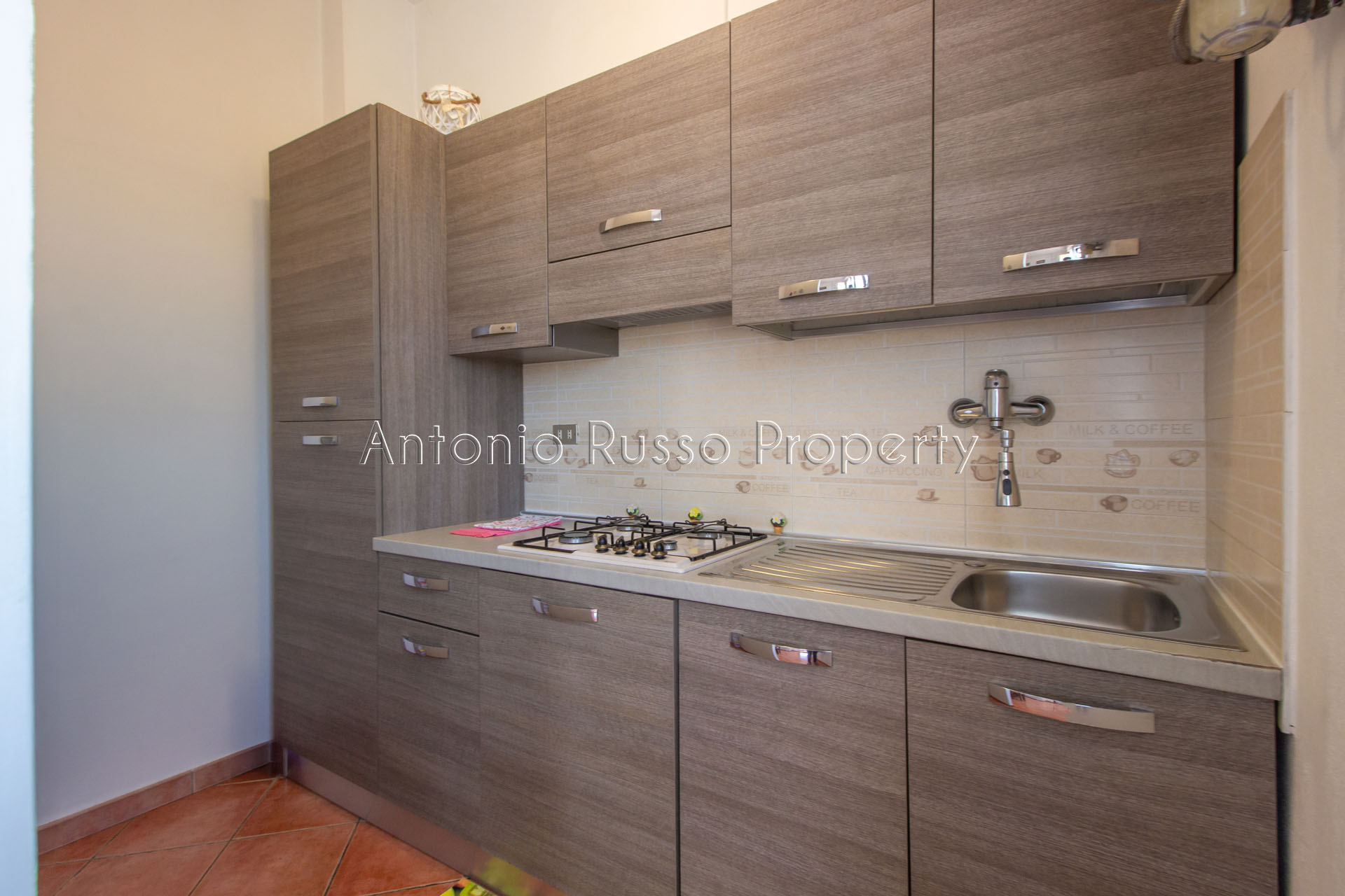 /api/file/public/265176/29357