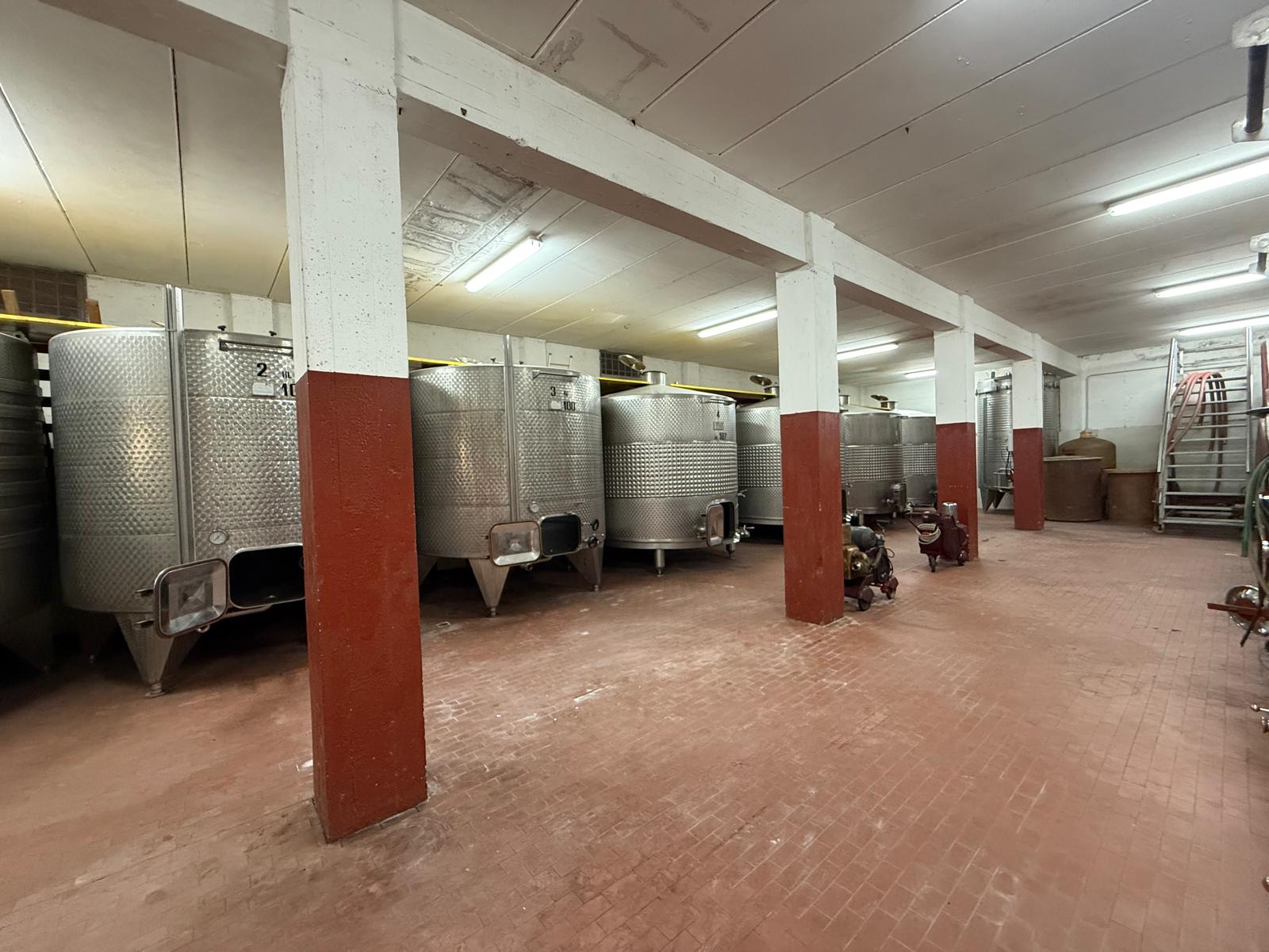 /api/file/public/265180/29485