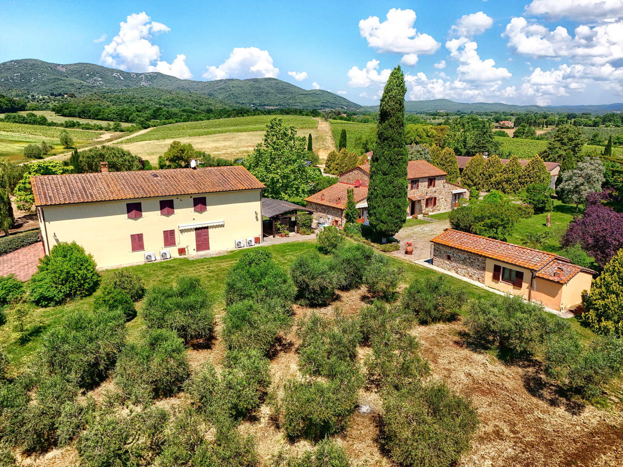 /api/file/public/265180/29519