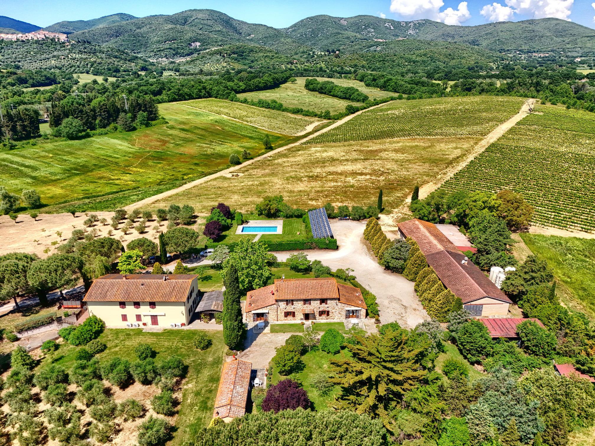 /api/file/public/265180/29521