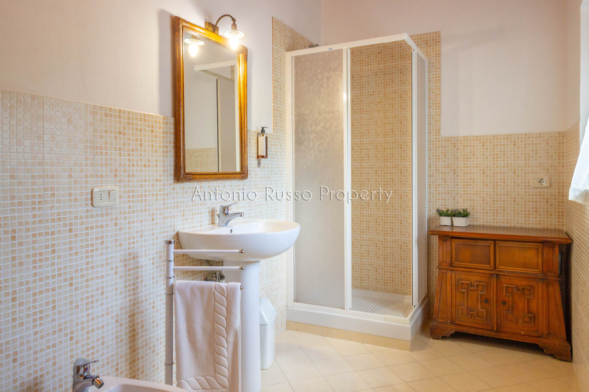 /api/file/public/265181/29531