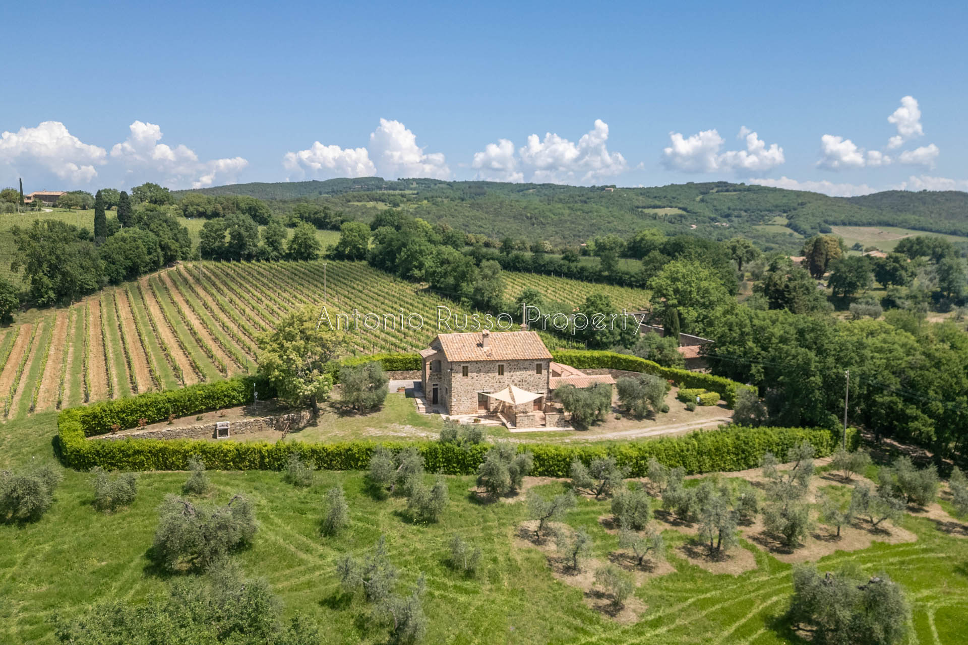 /api/file/public/265181/29541