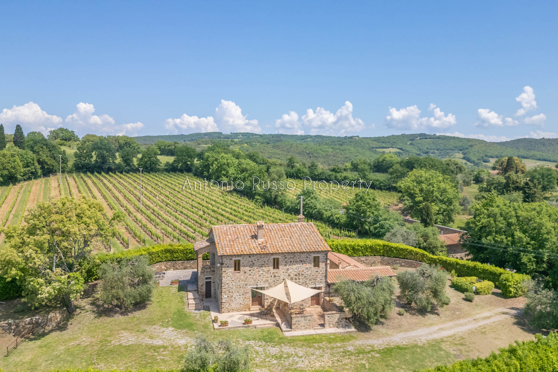 /api/file/public/265181/29543