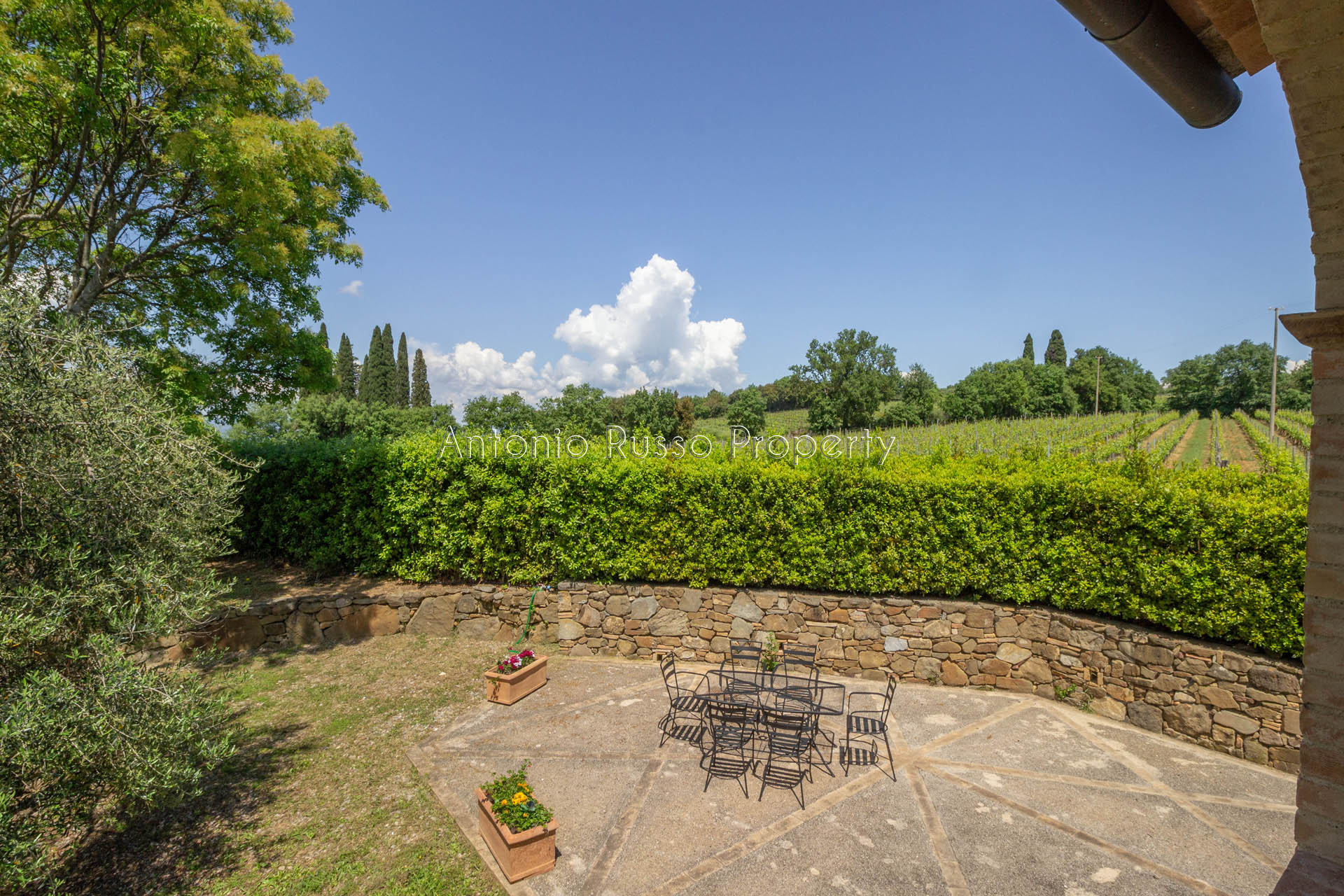 /api/file/public/265181/29549