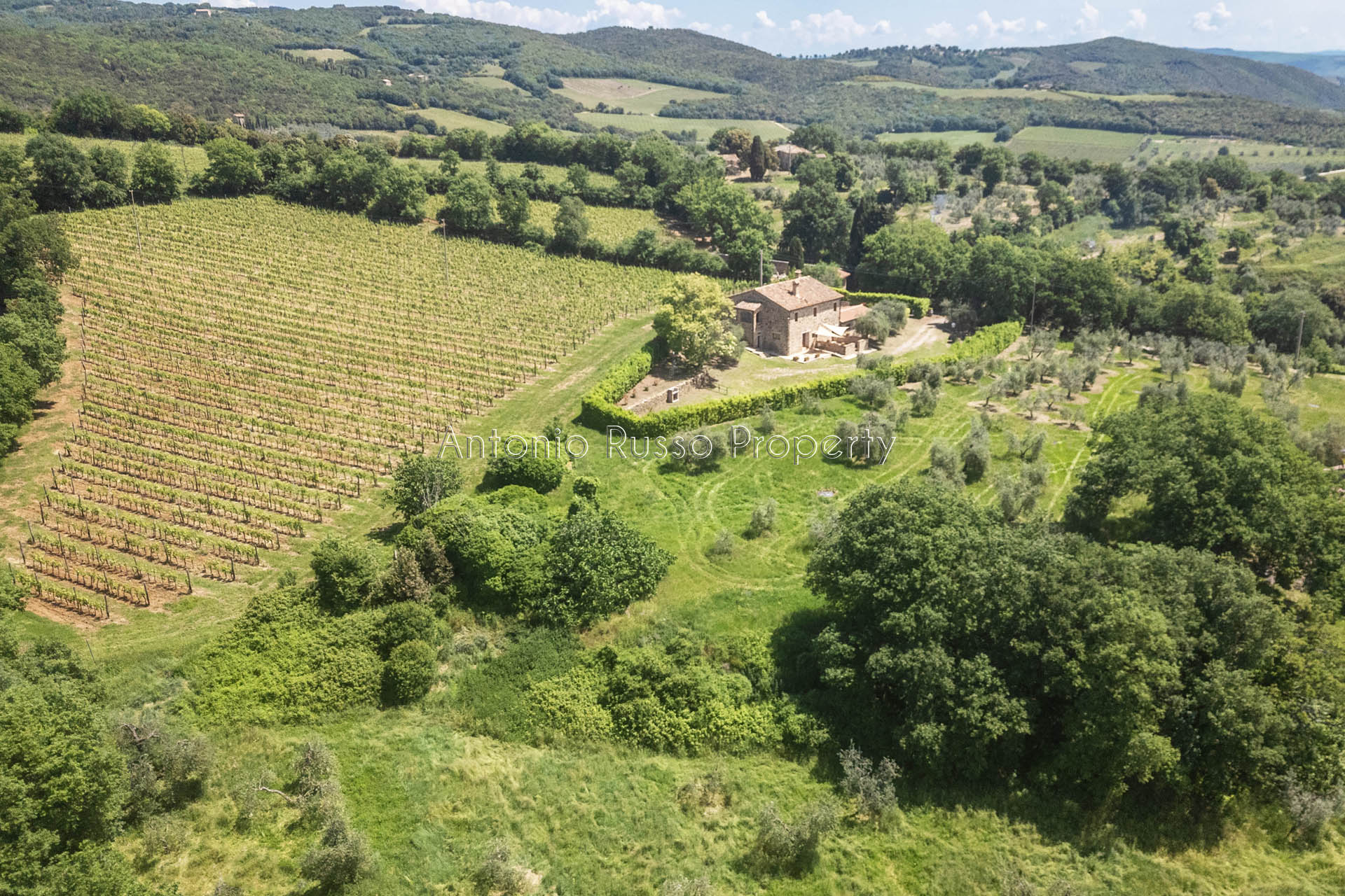 /api/file/public/265181/29551