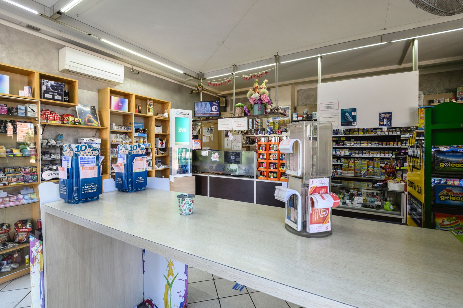 /api/file/public/265182/29558