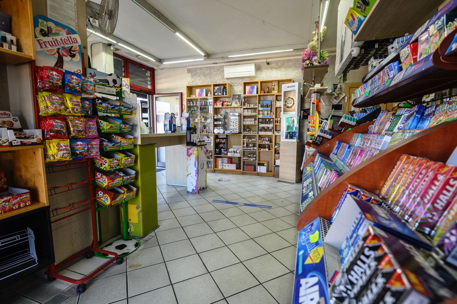 /api/file/public/265182/29561