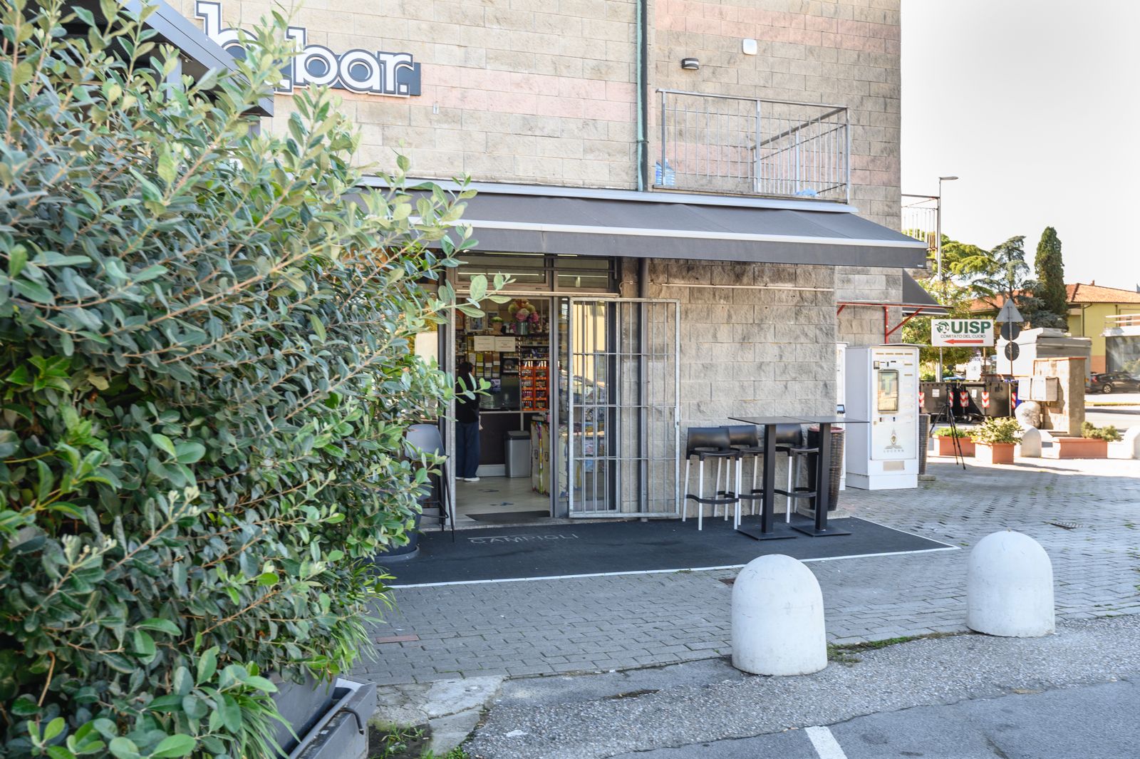 /api/file/public/265182/29567