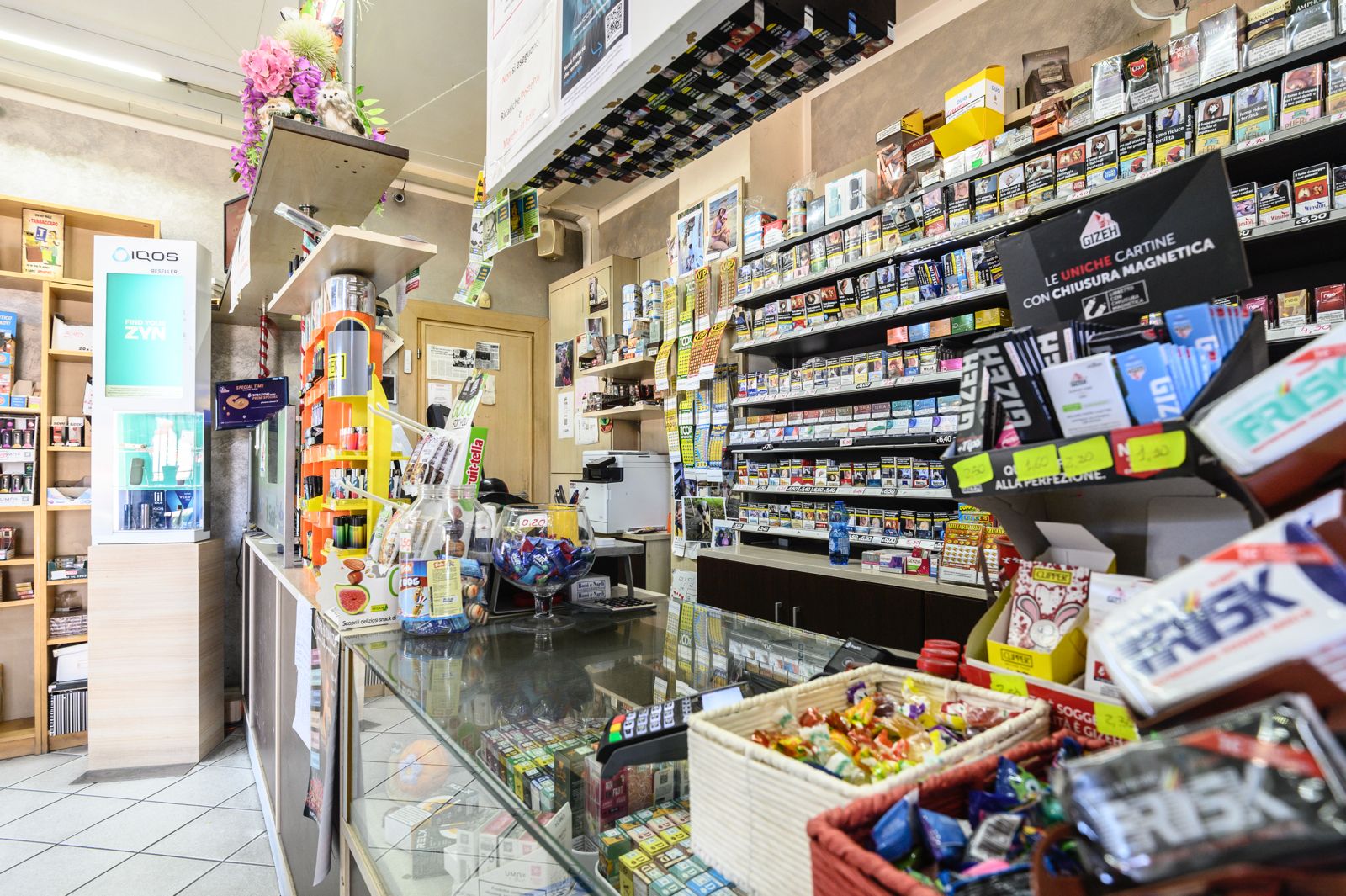 /api/file/public/265182/29569