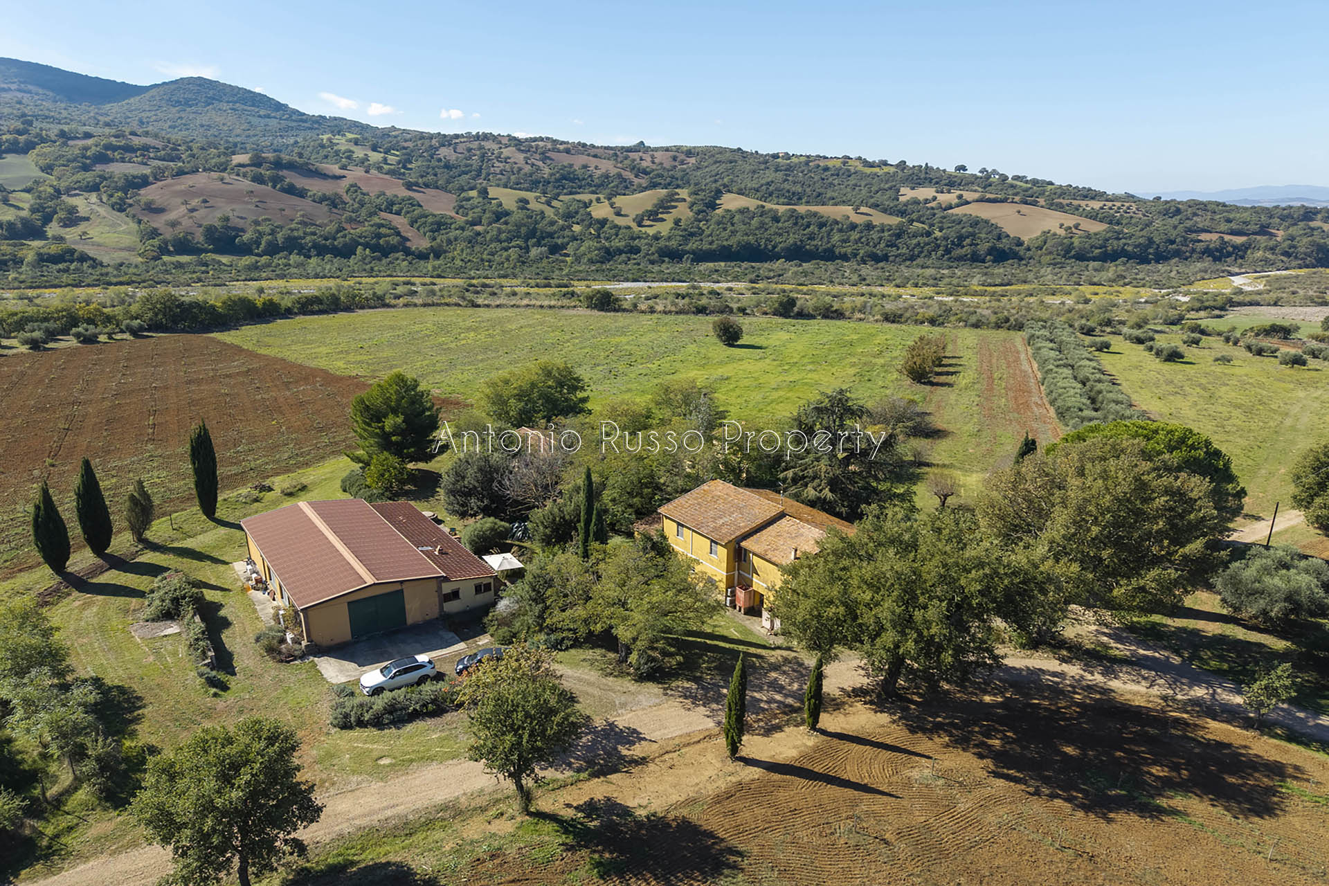 /api/file/public/265183/29593