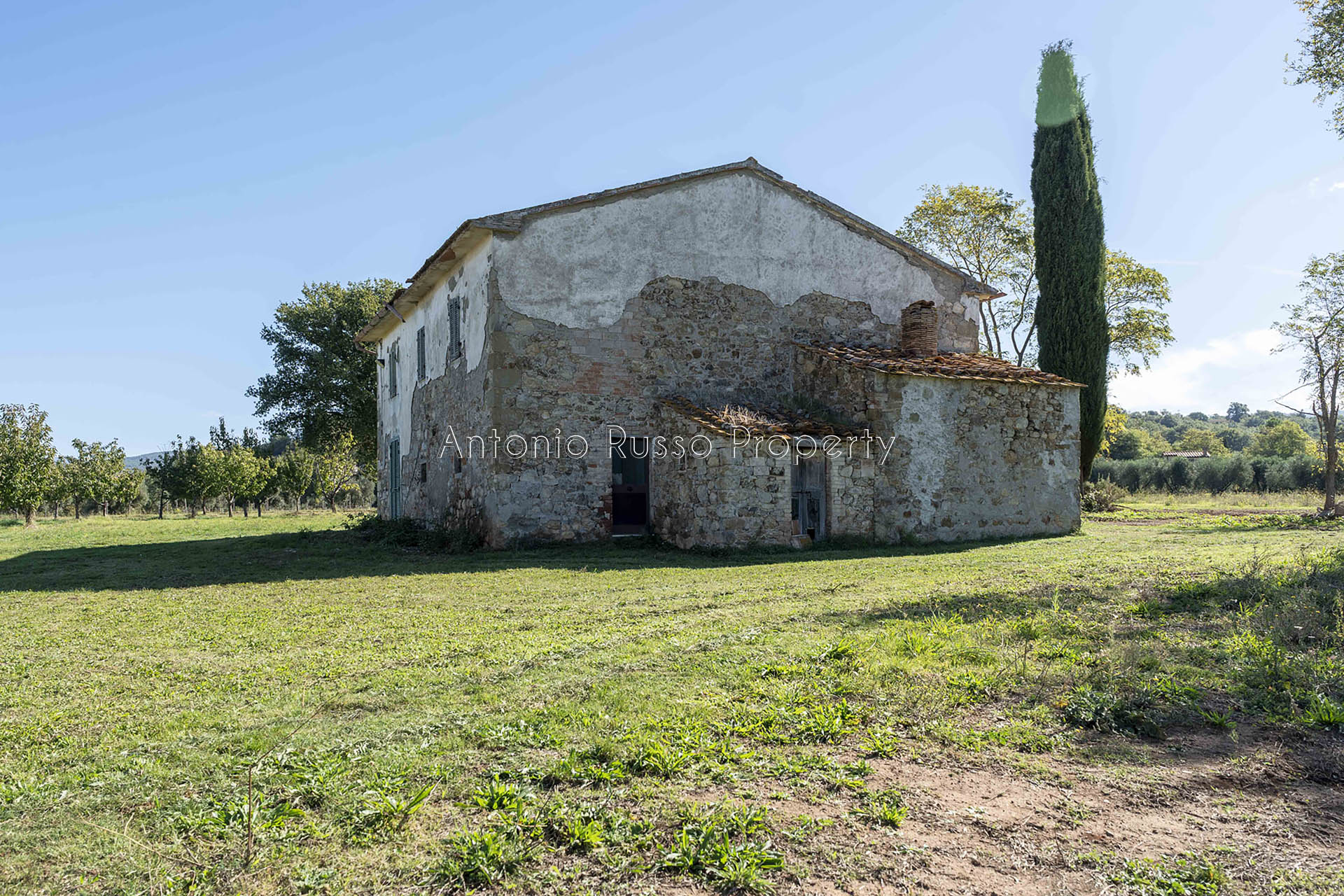 /api/file/public/265183/29597