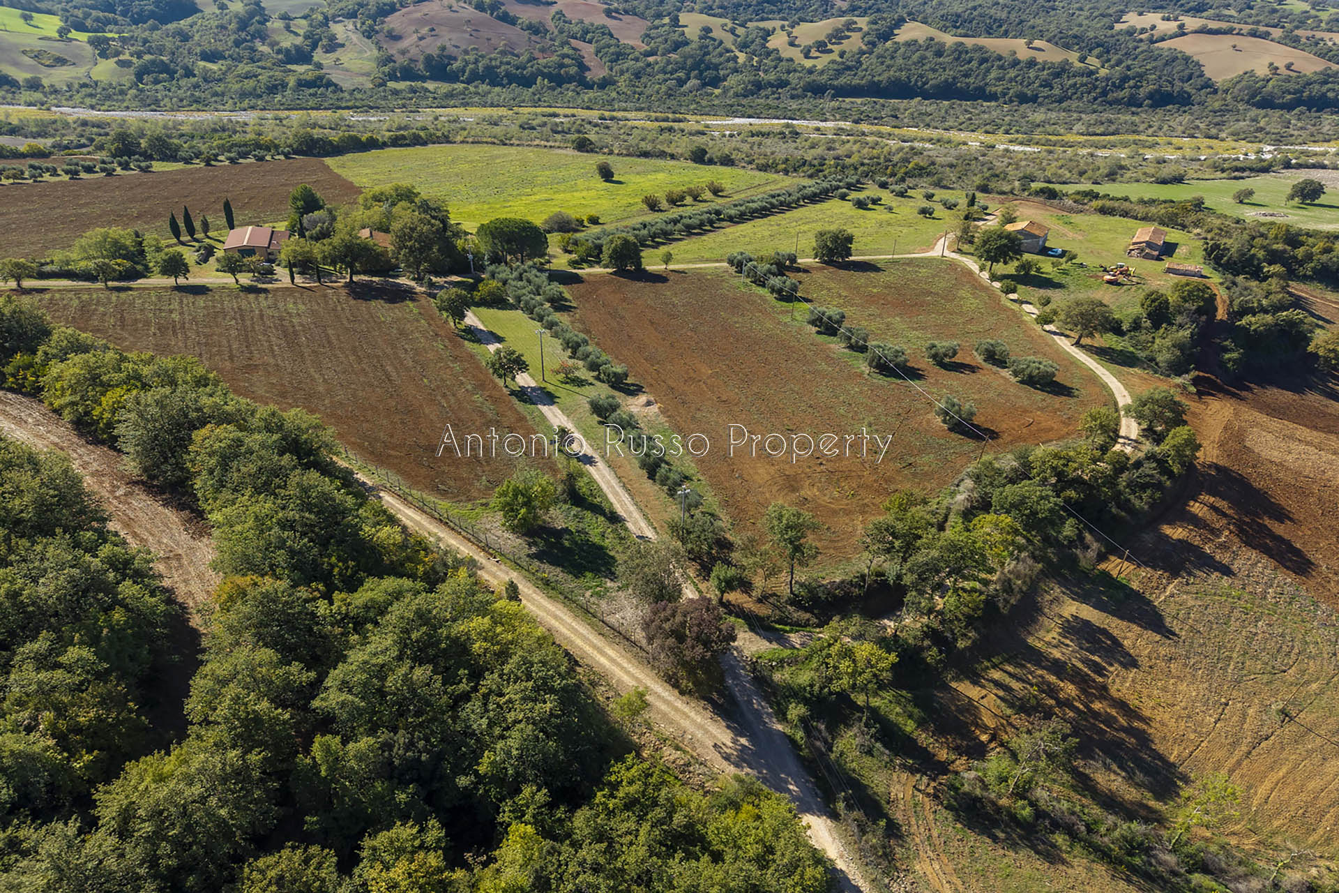 /api/file/public/265183/29601